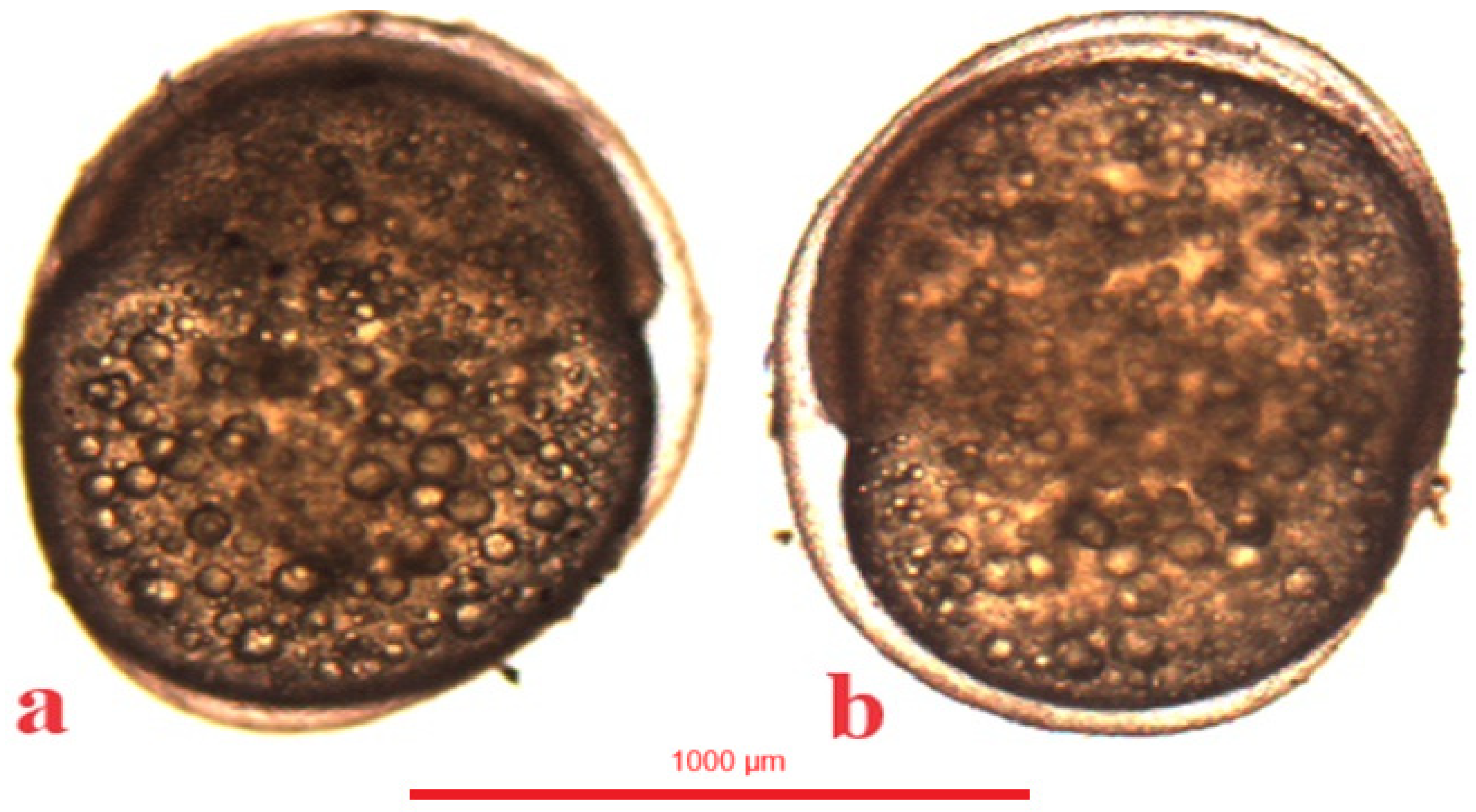 Animals 14 01238 g011