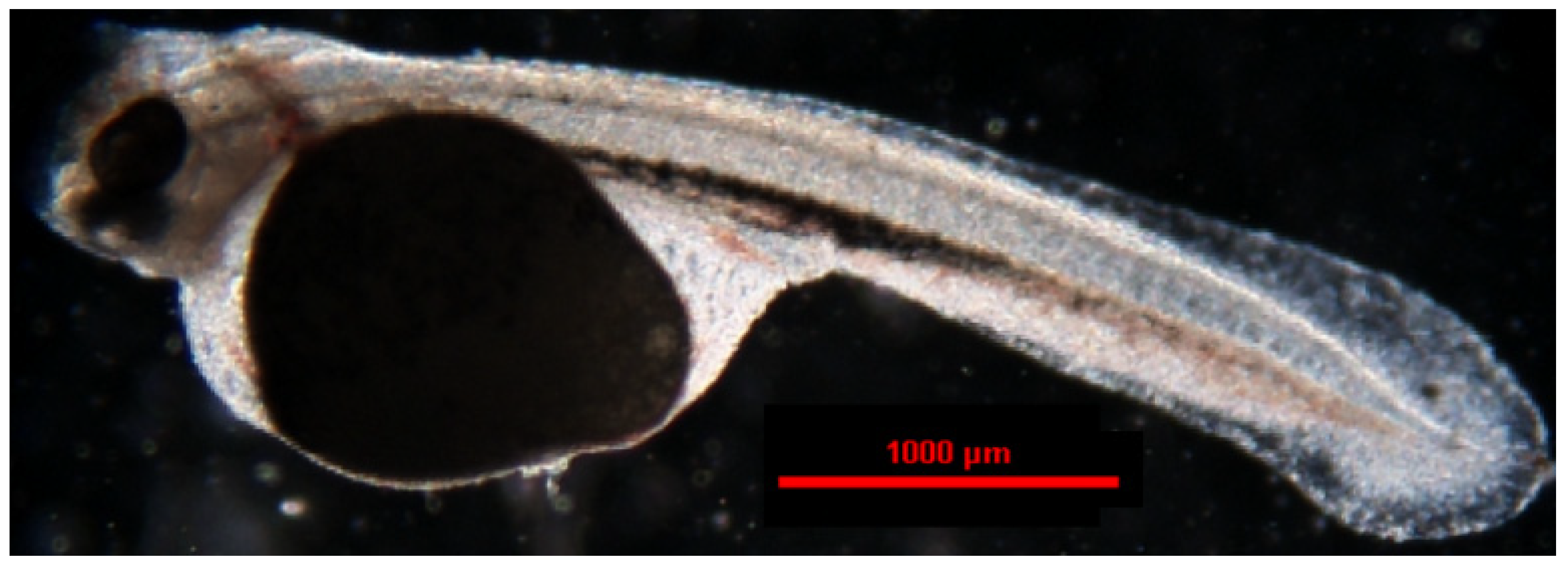 Animals 14 01238 g013