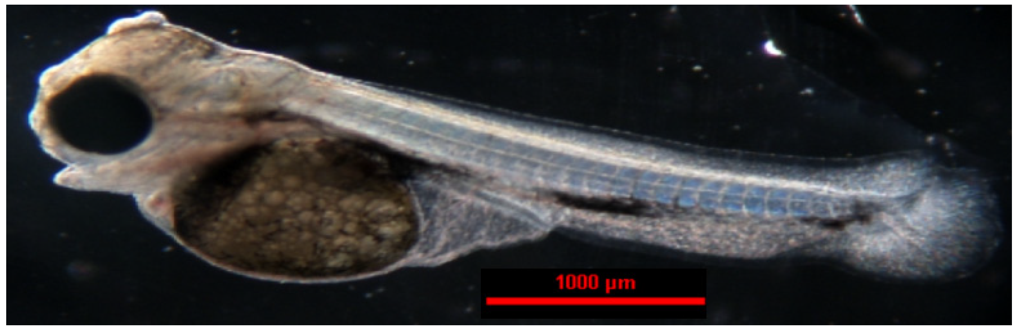 Animals 14 01238 g014