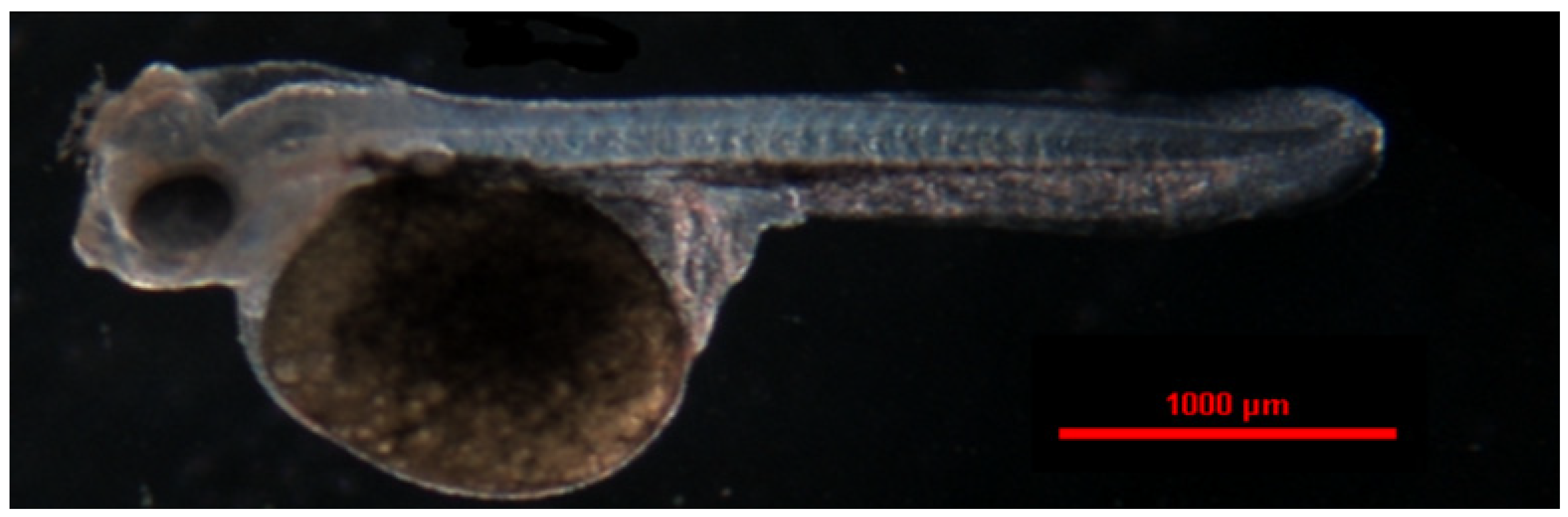 Animals 14 01238 g015