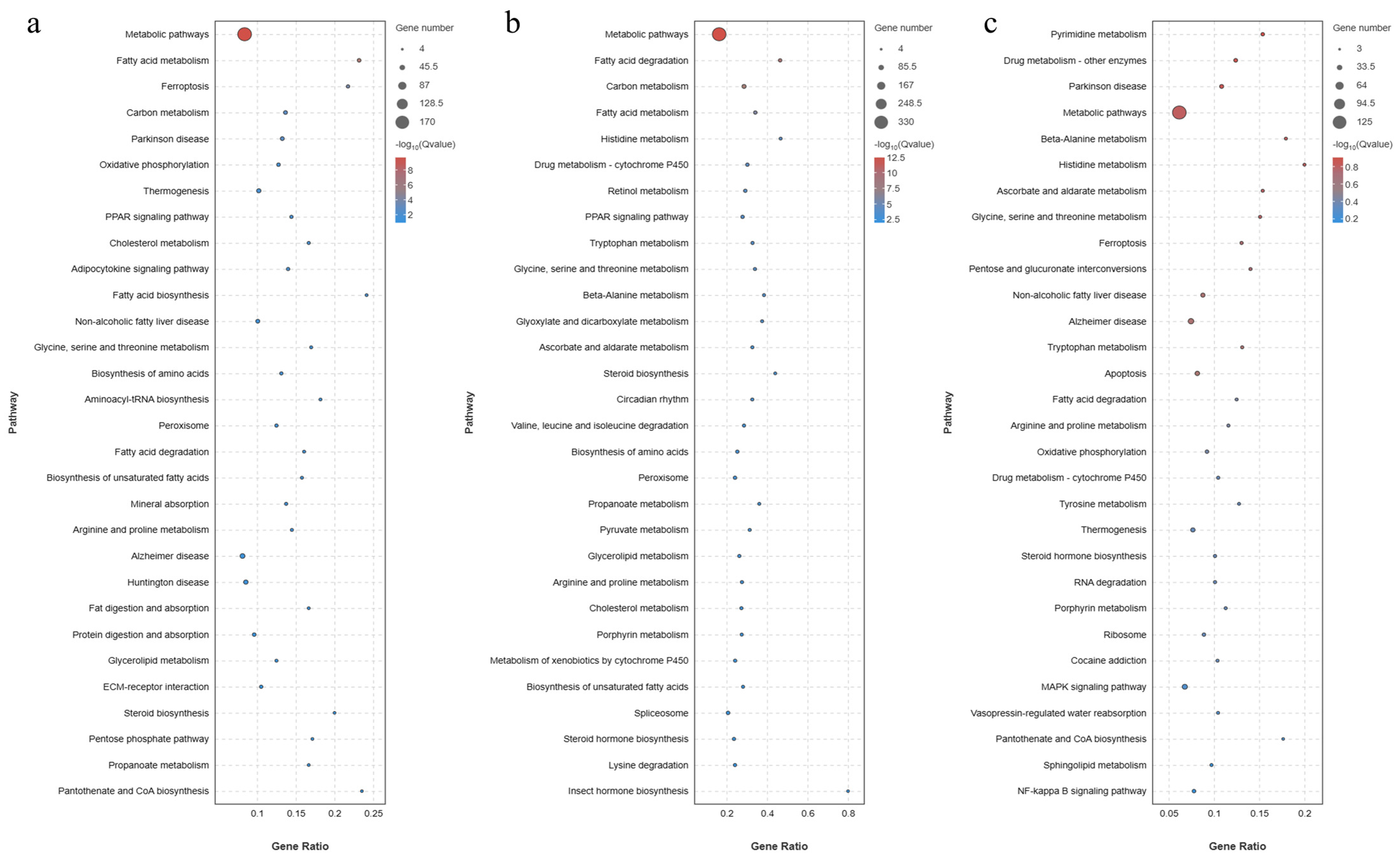 Animals 14 01239 g020