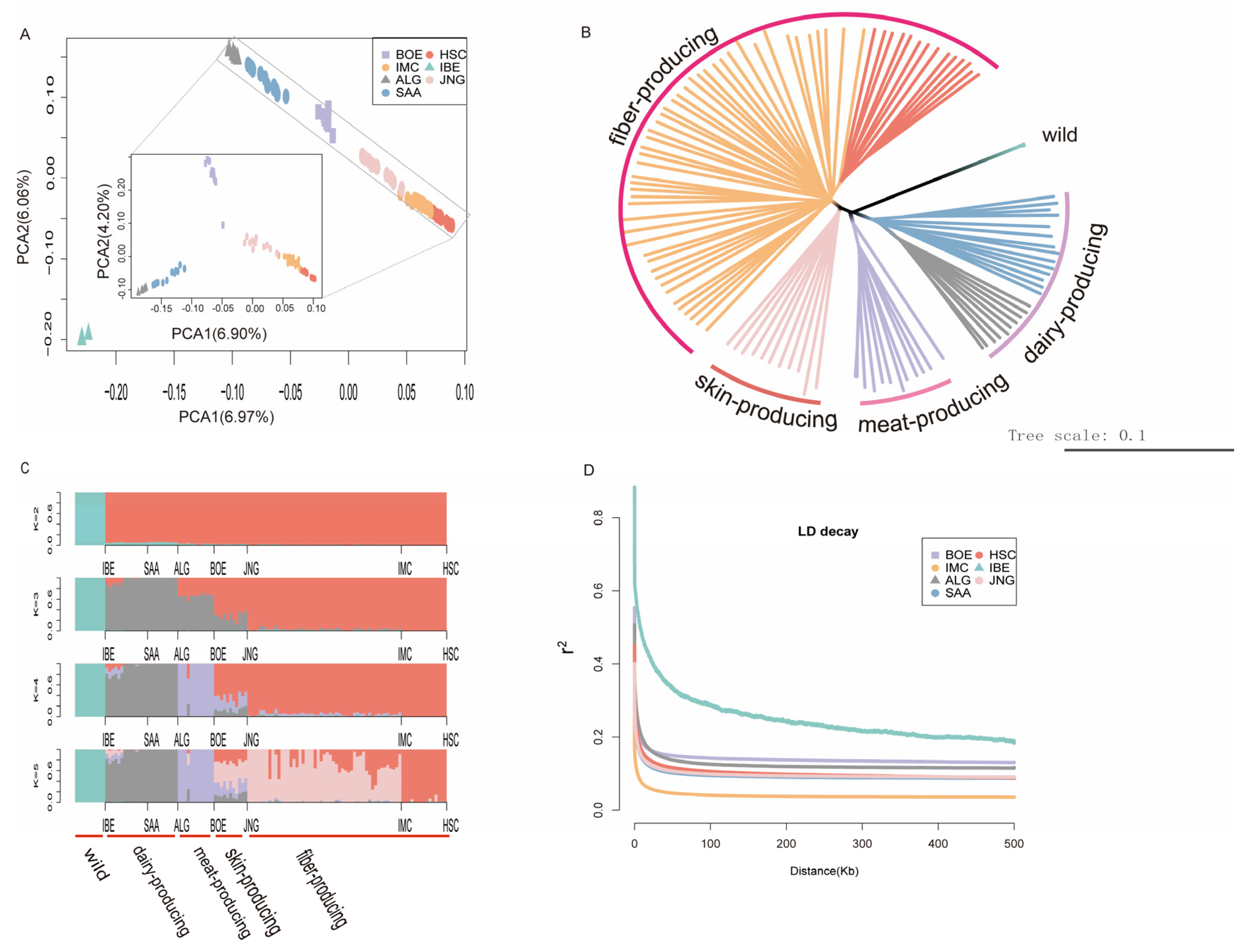 Animals 14 01246 g001