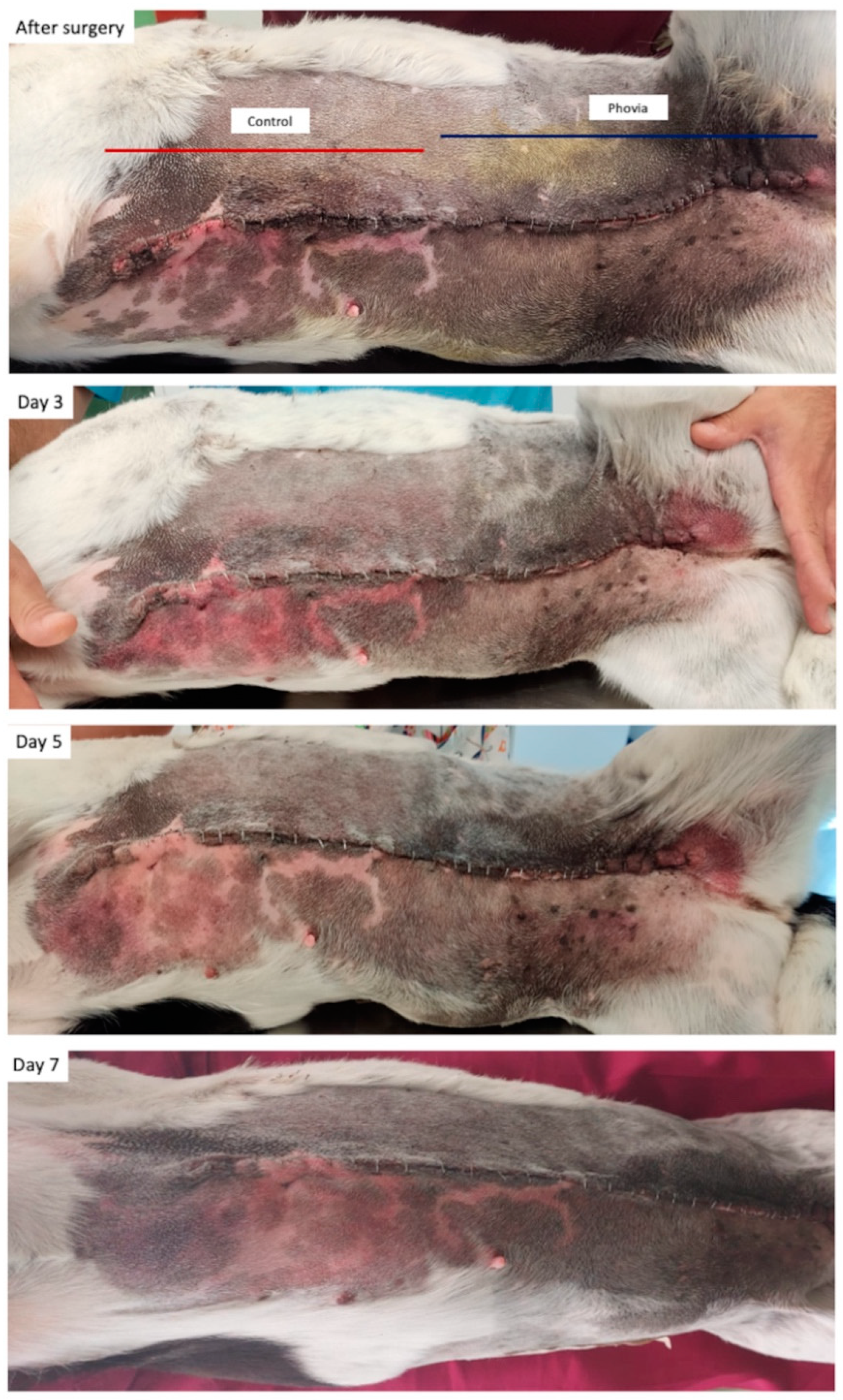 Animals 14 01250 g003