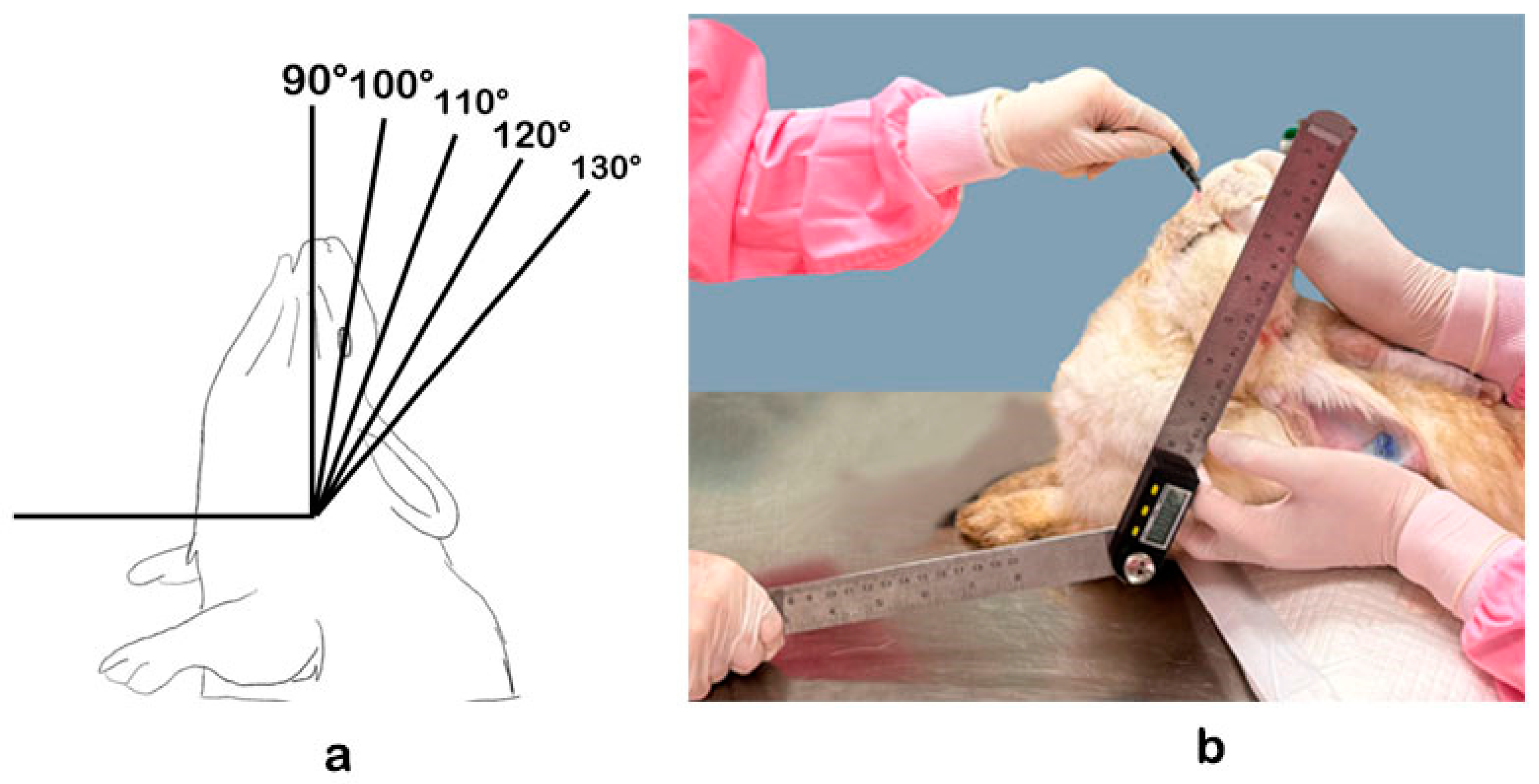 Animals 14 01270 g002