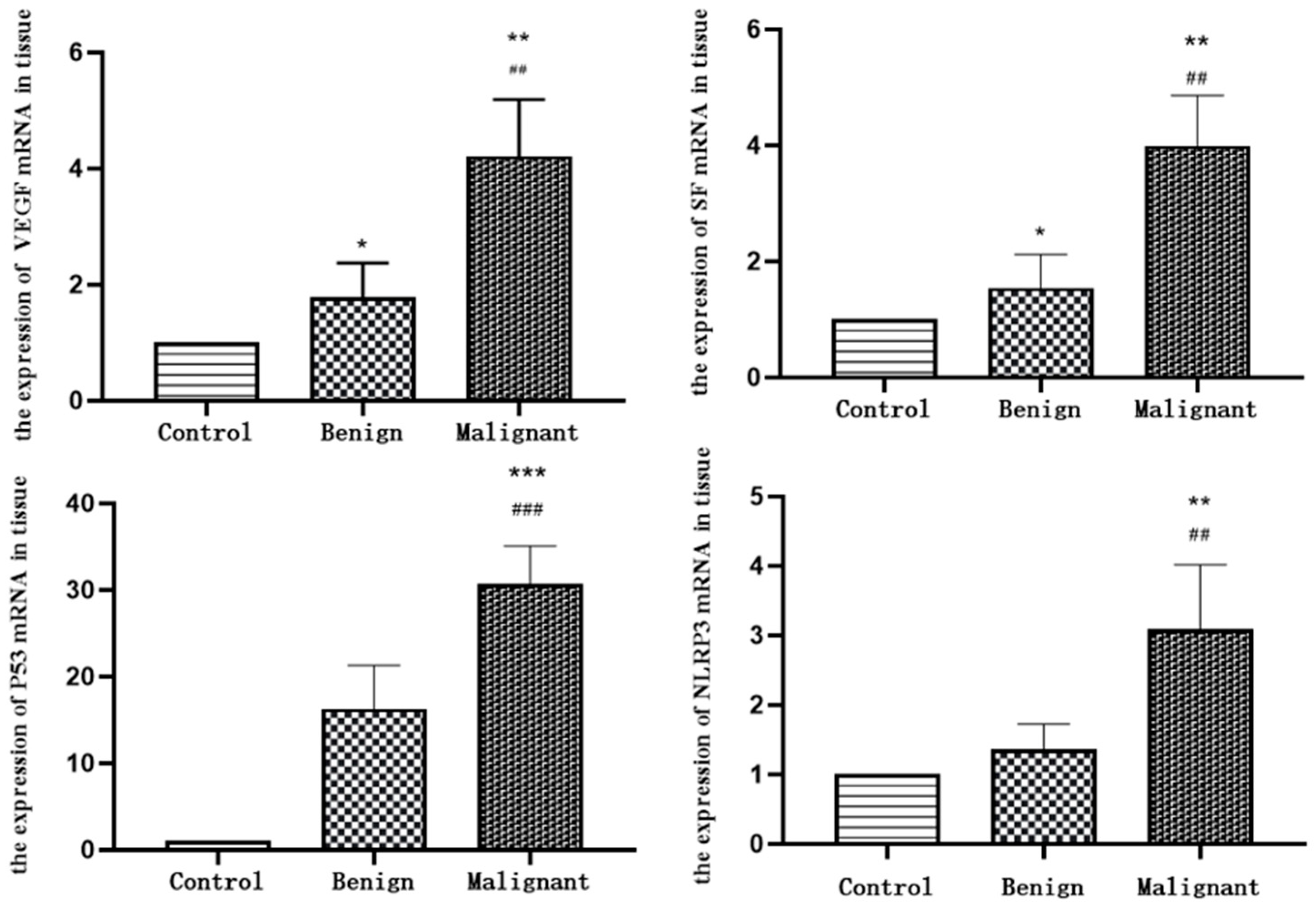 Animals 14 01272 g006