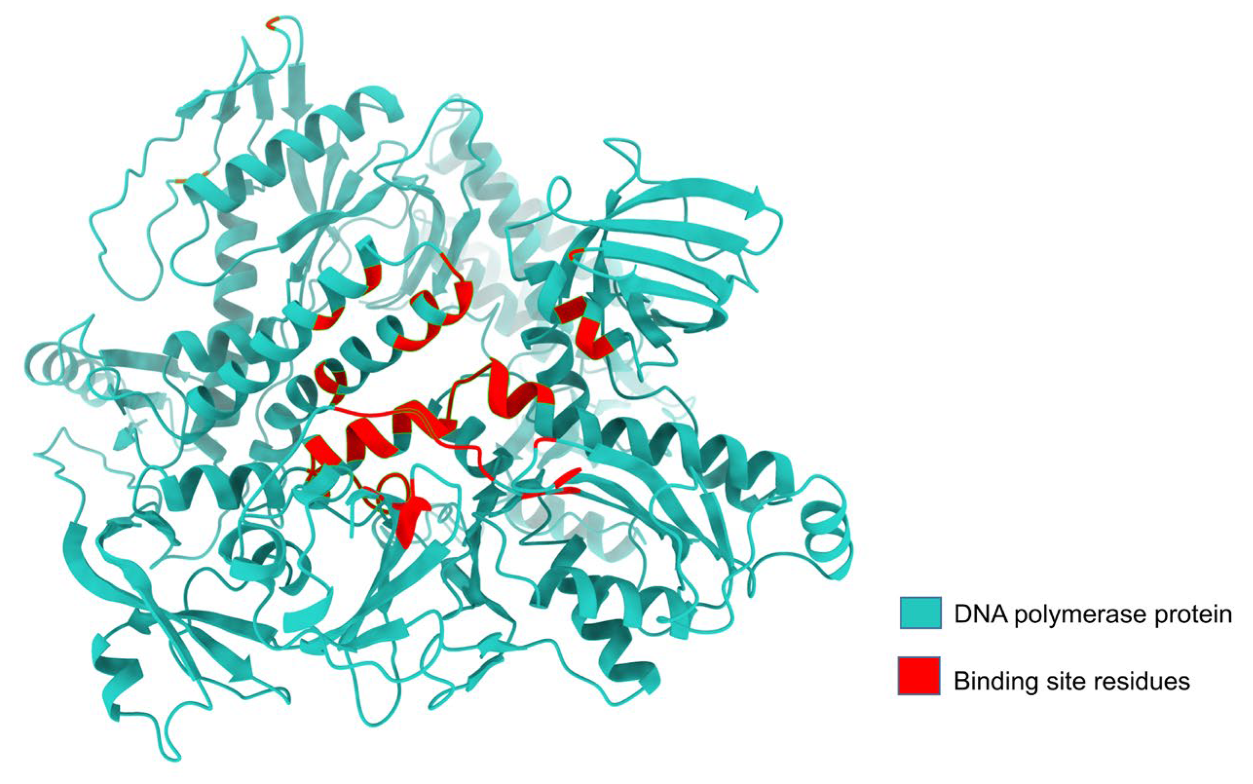 Animals 14 01283 g003 Animals 14 01283 g003