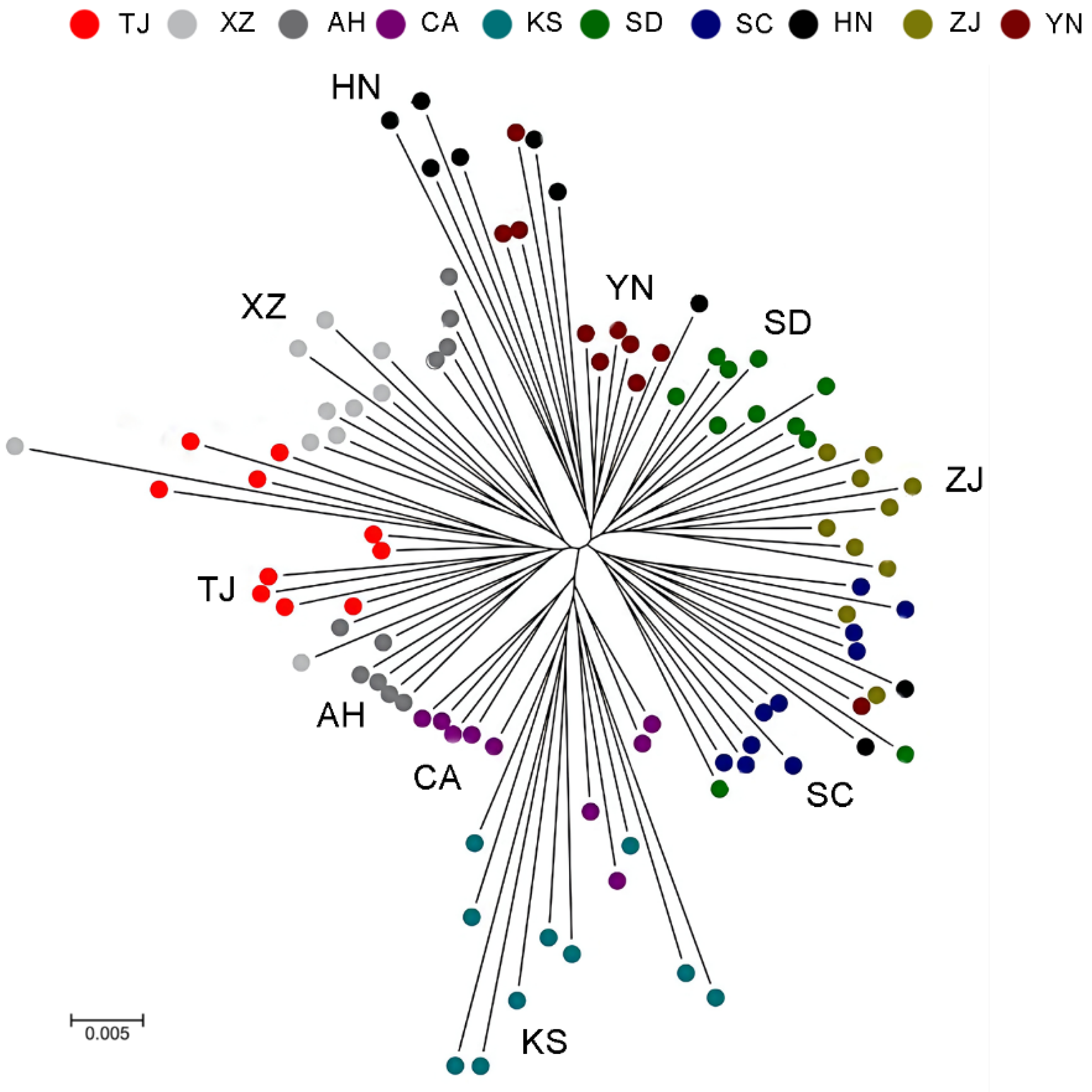 Animals 14 01287 g006