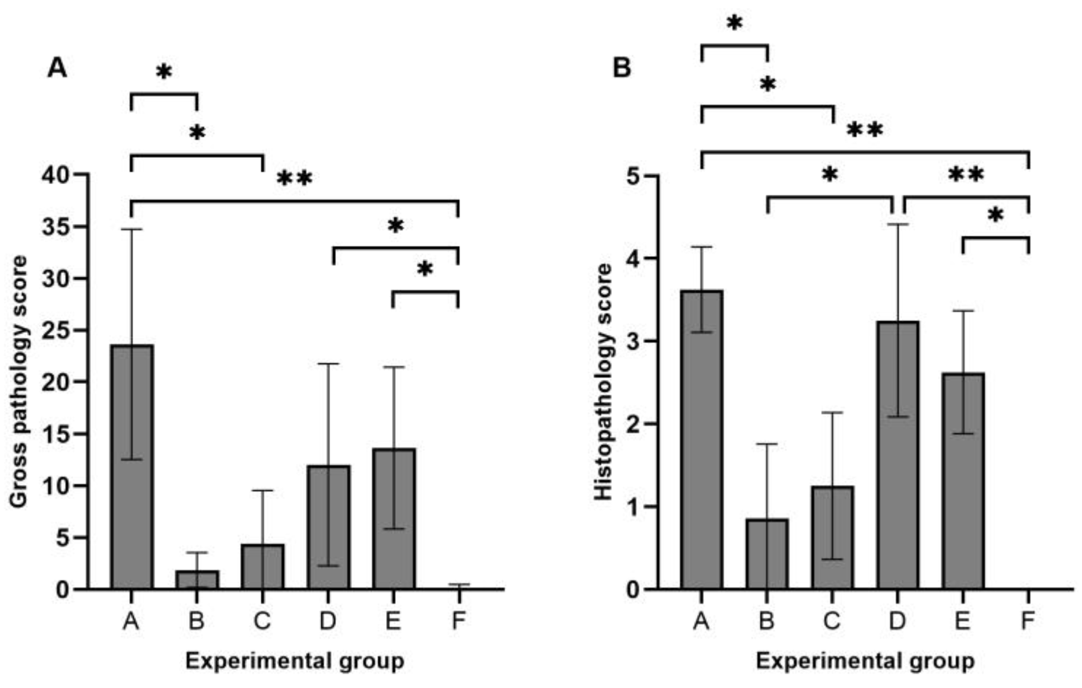 Animals 14 01290 g001
