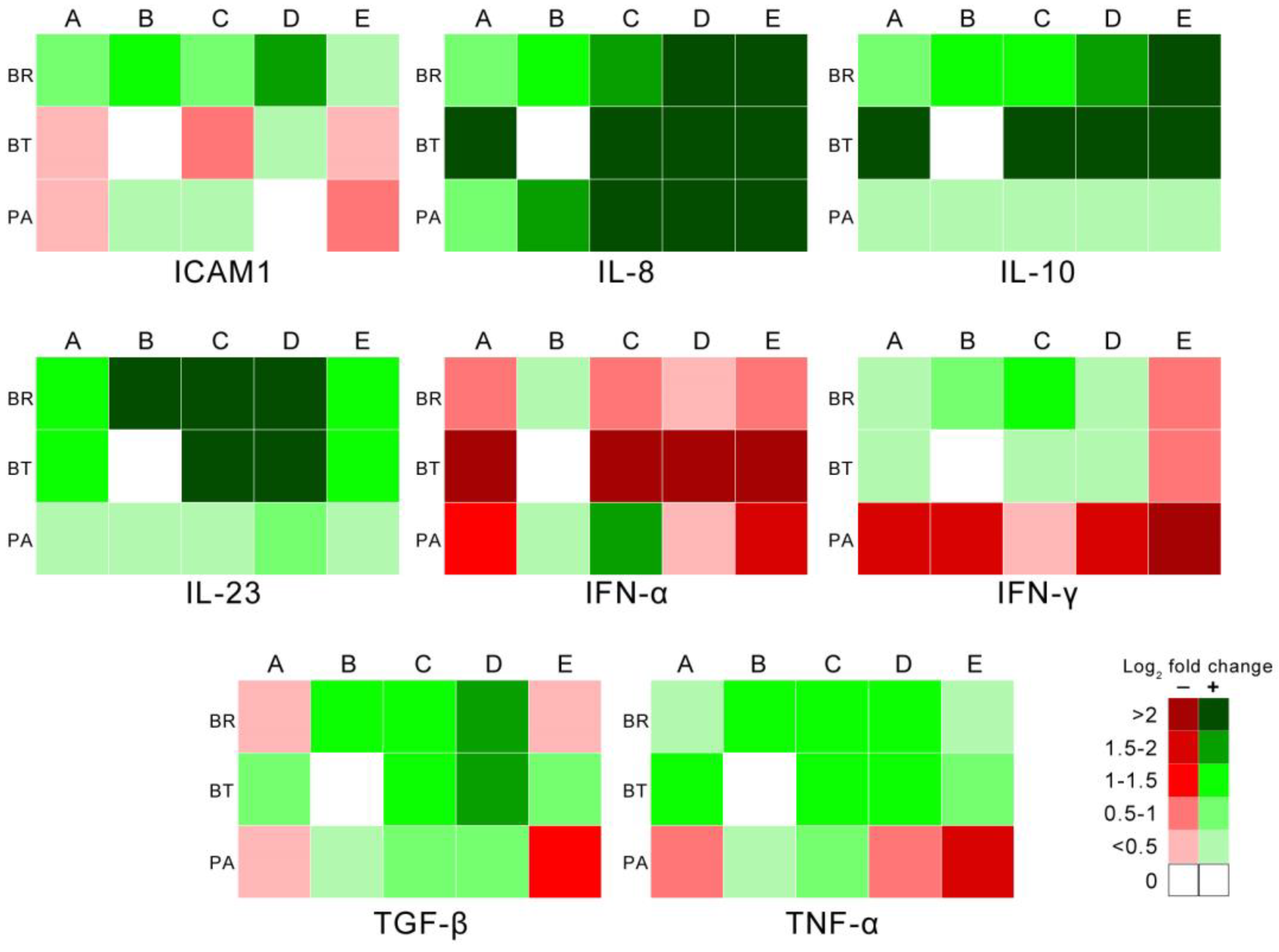 Animals 14 01290 g004