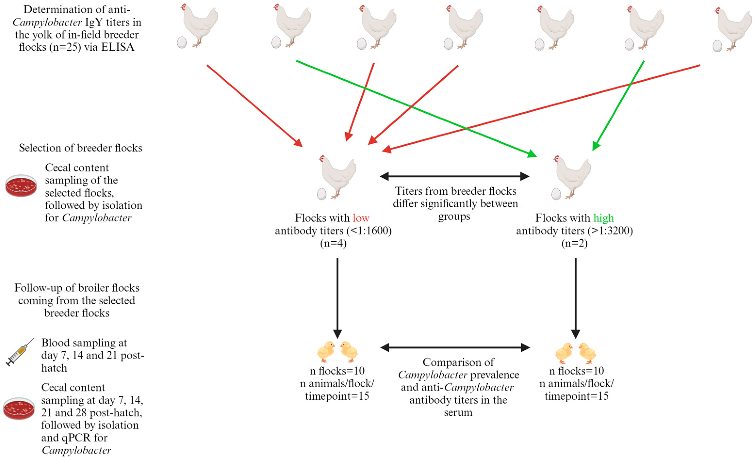 Animals 14 01291 g001