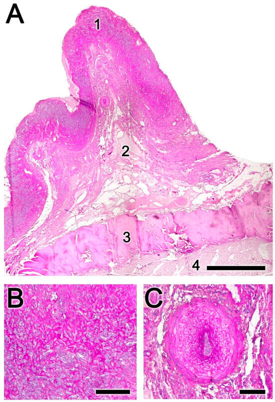 Animals 14 01297 g005