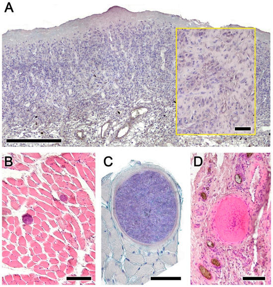 Animals 14 01297 g006