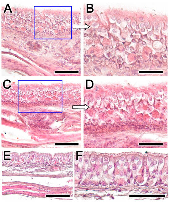 Animals 14 01297 g009
