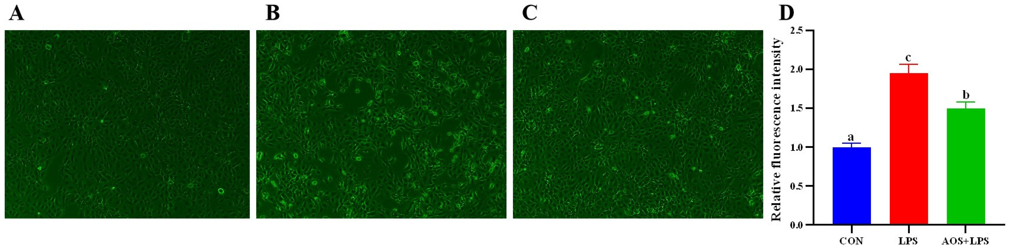 Animals 14 01298 g005