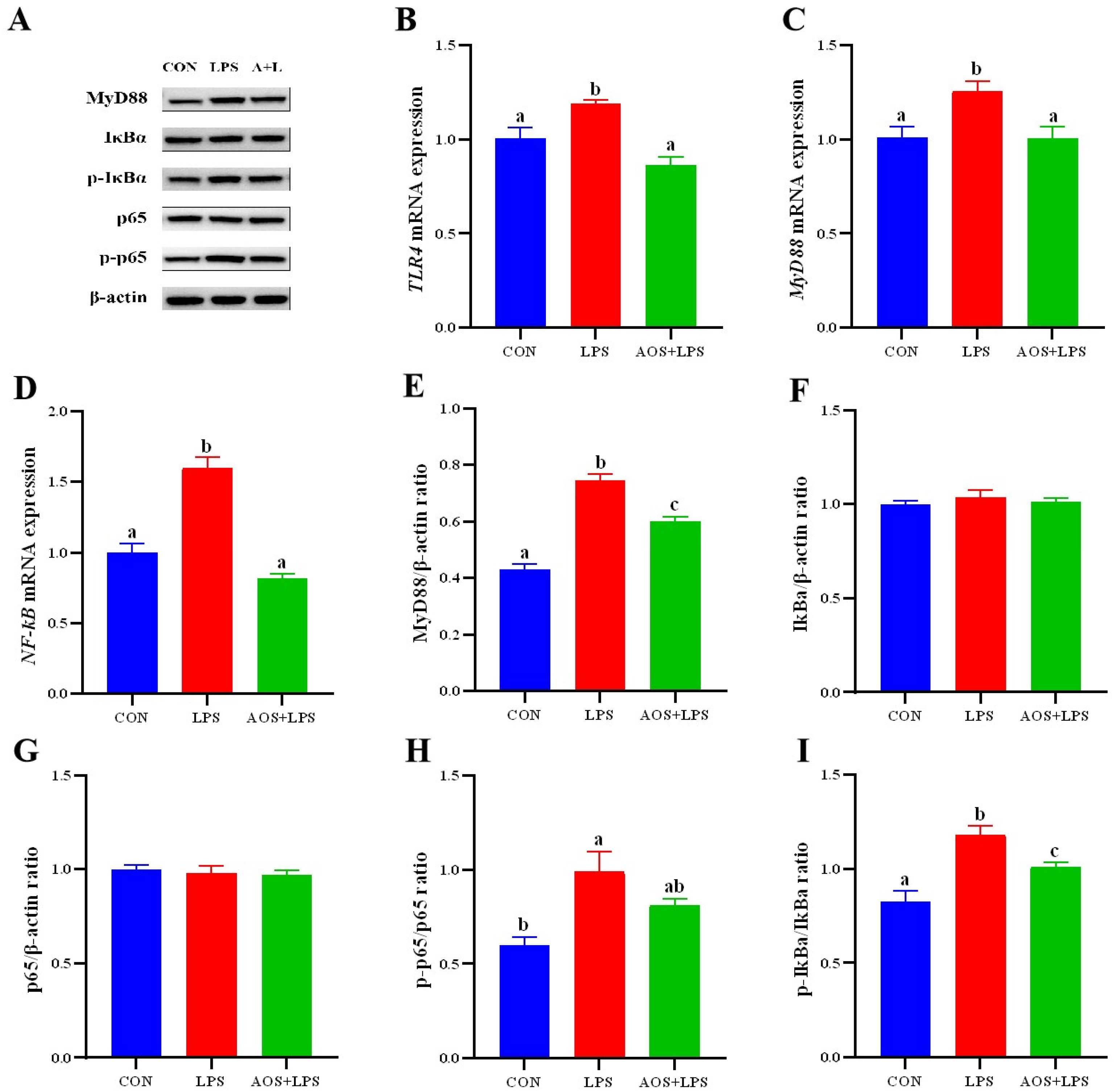 Animals 14 01298 g007