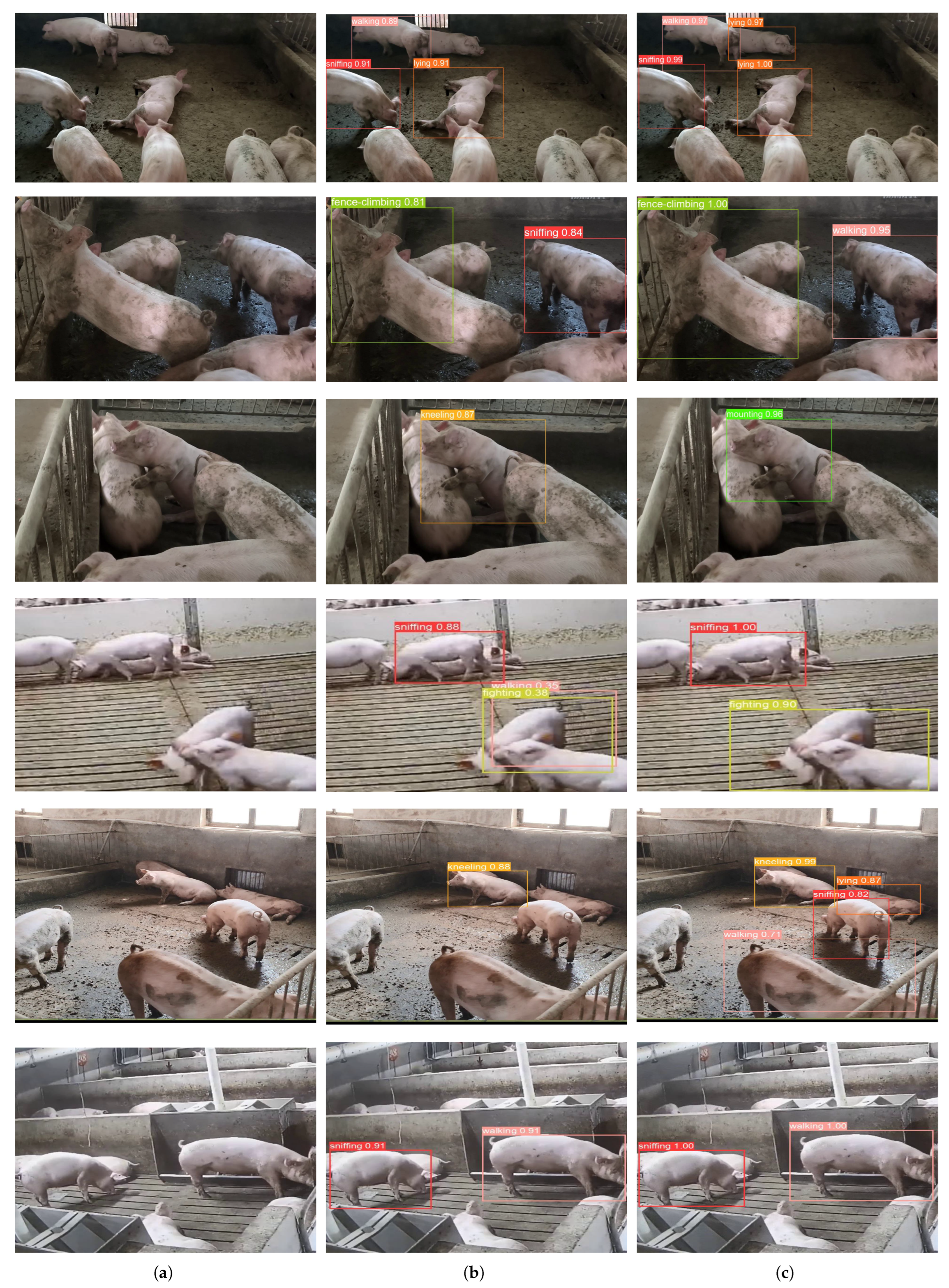 Animals 14 01316 g010