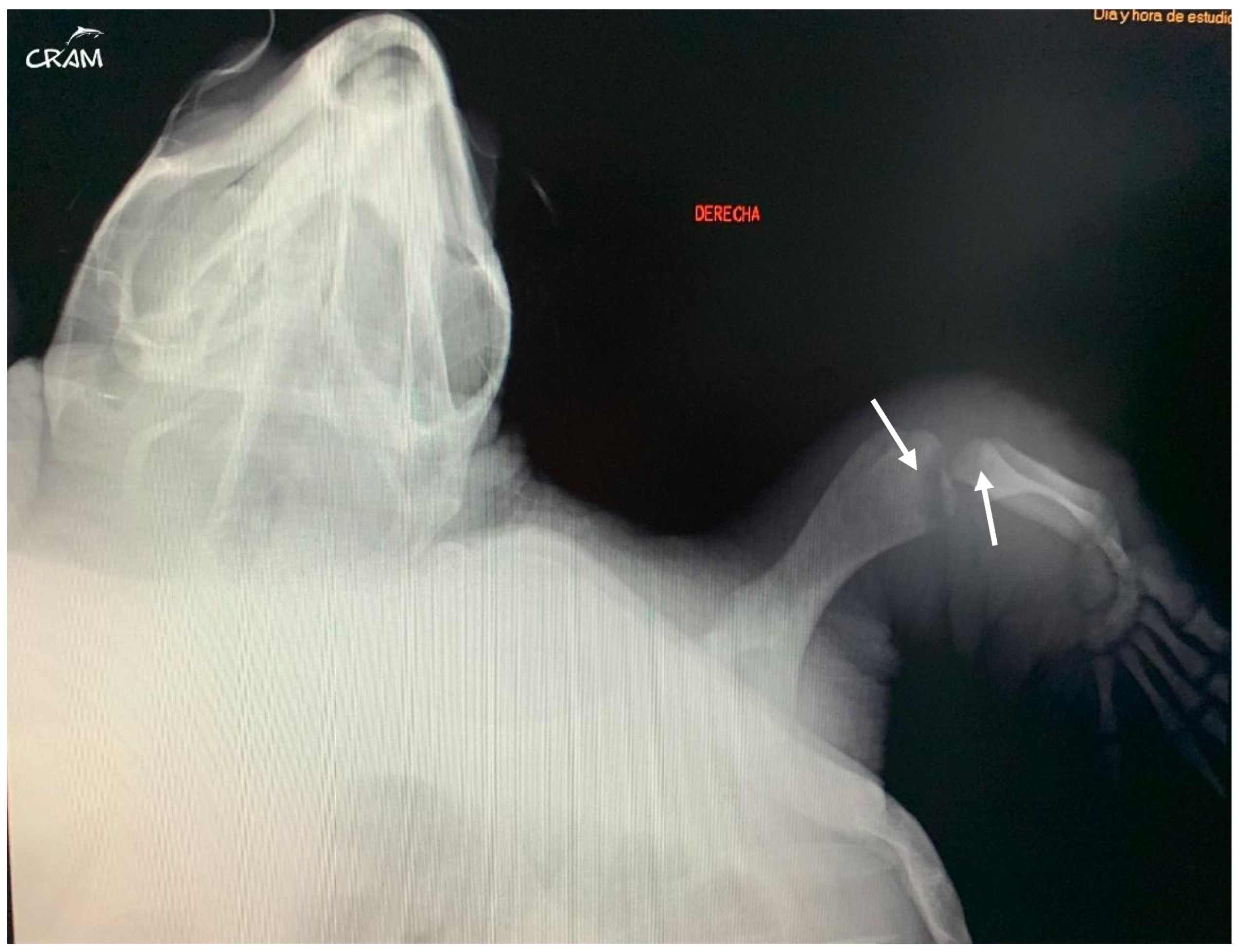 Animals 14 01317 g005