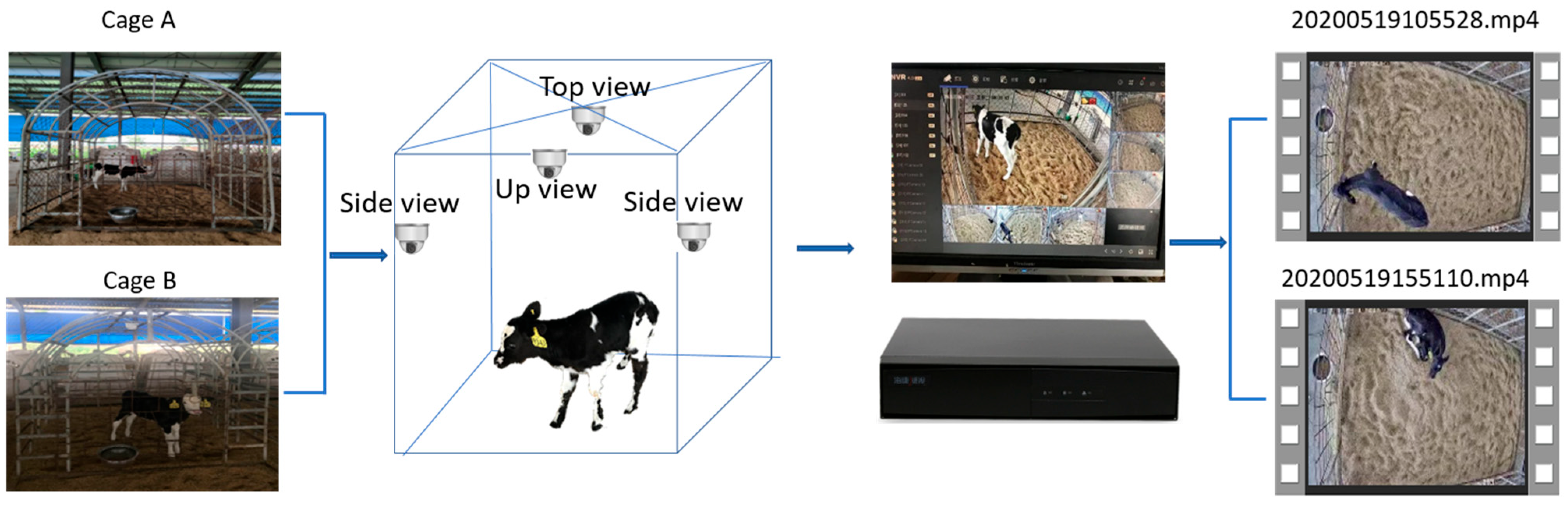 Animals 14 01324 g002