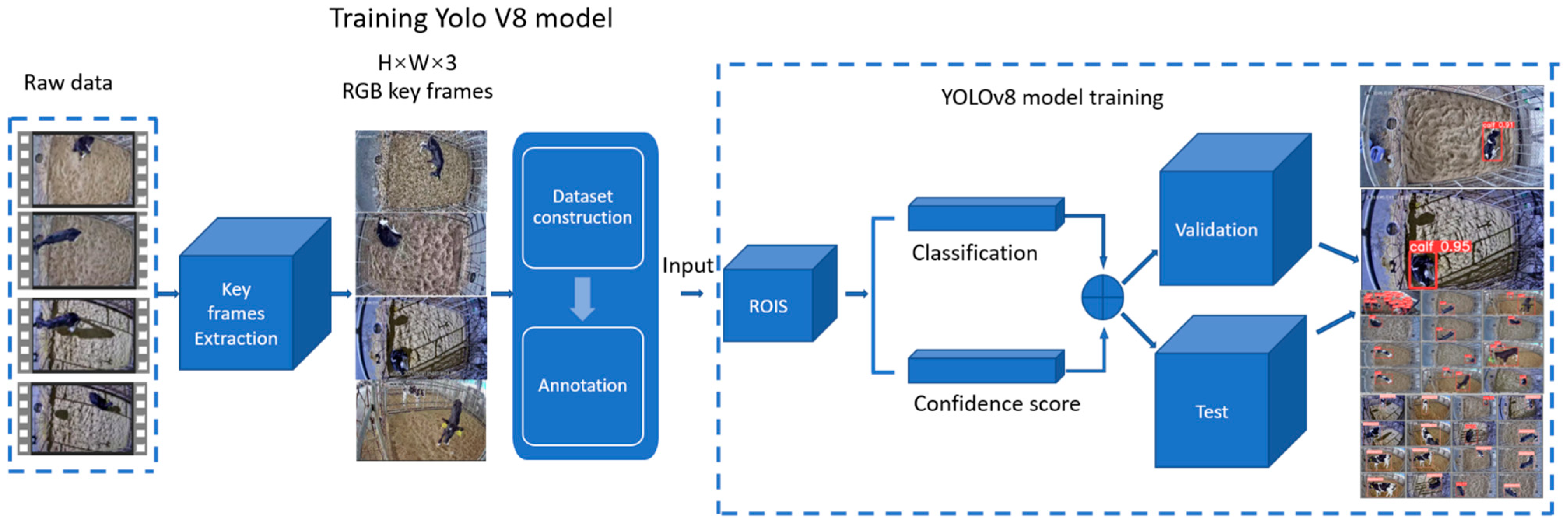 Animals 14 01324 g003
