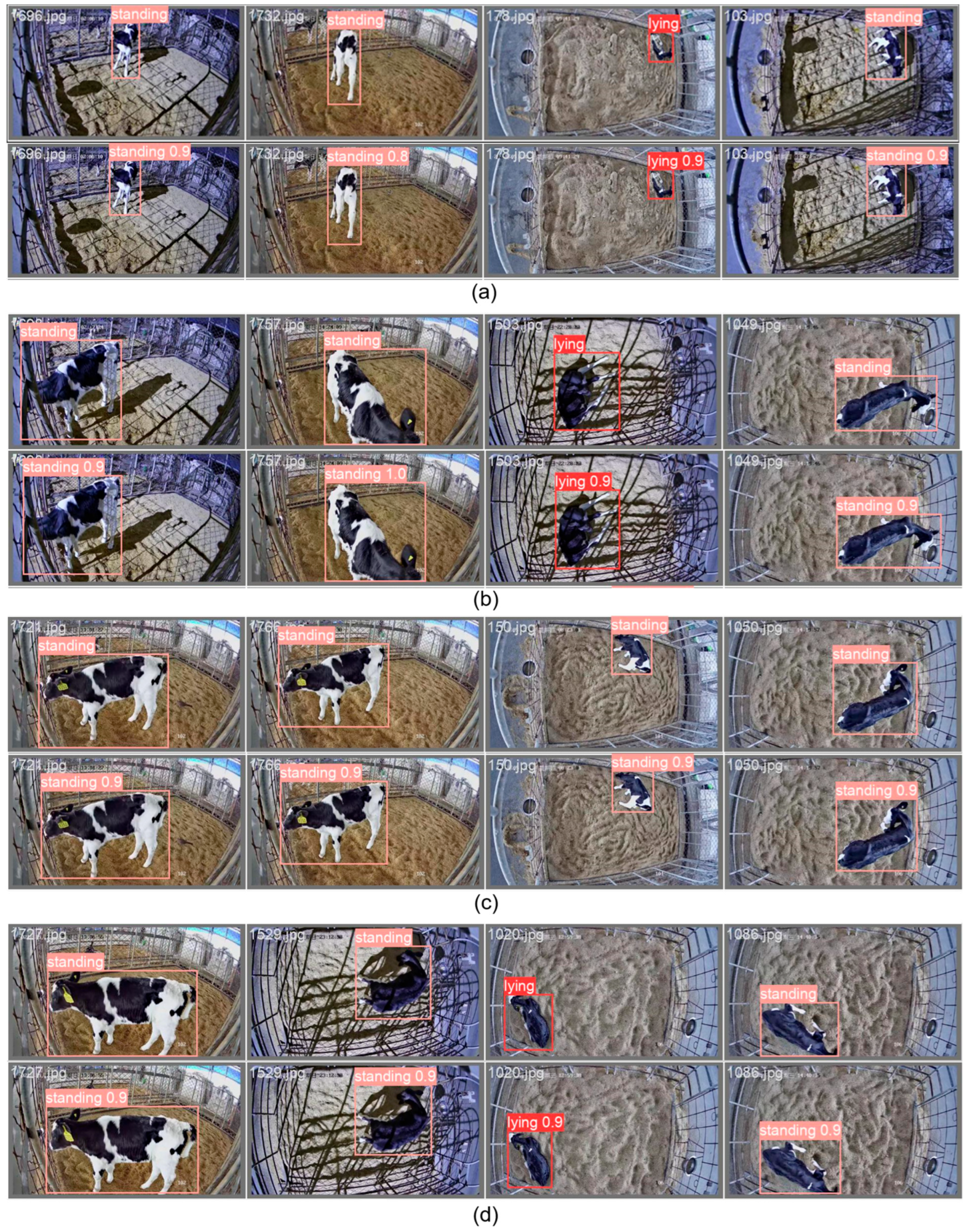 Animals 14 01324 g007