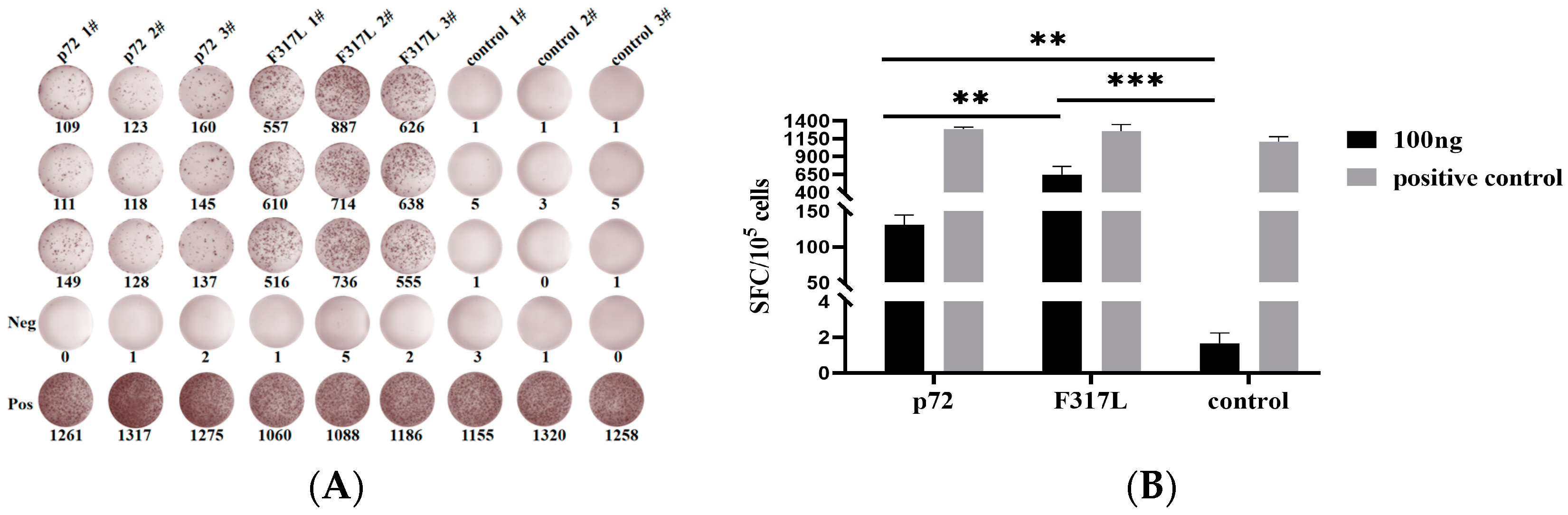 Animals 14 01331 g002