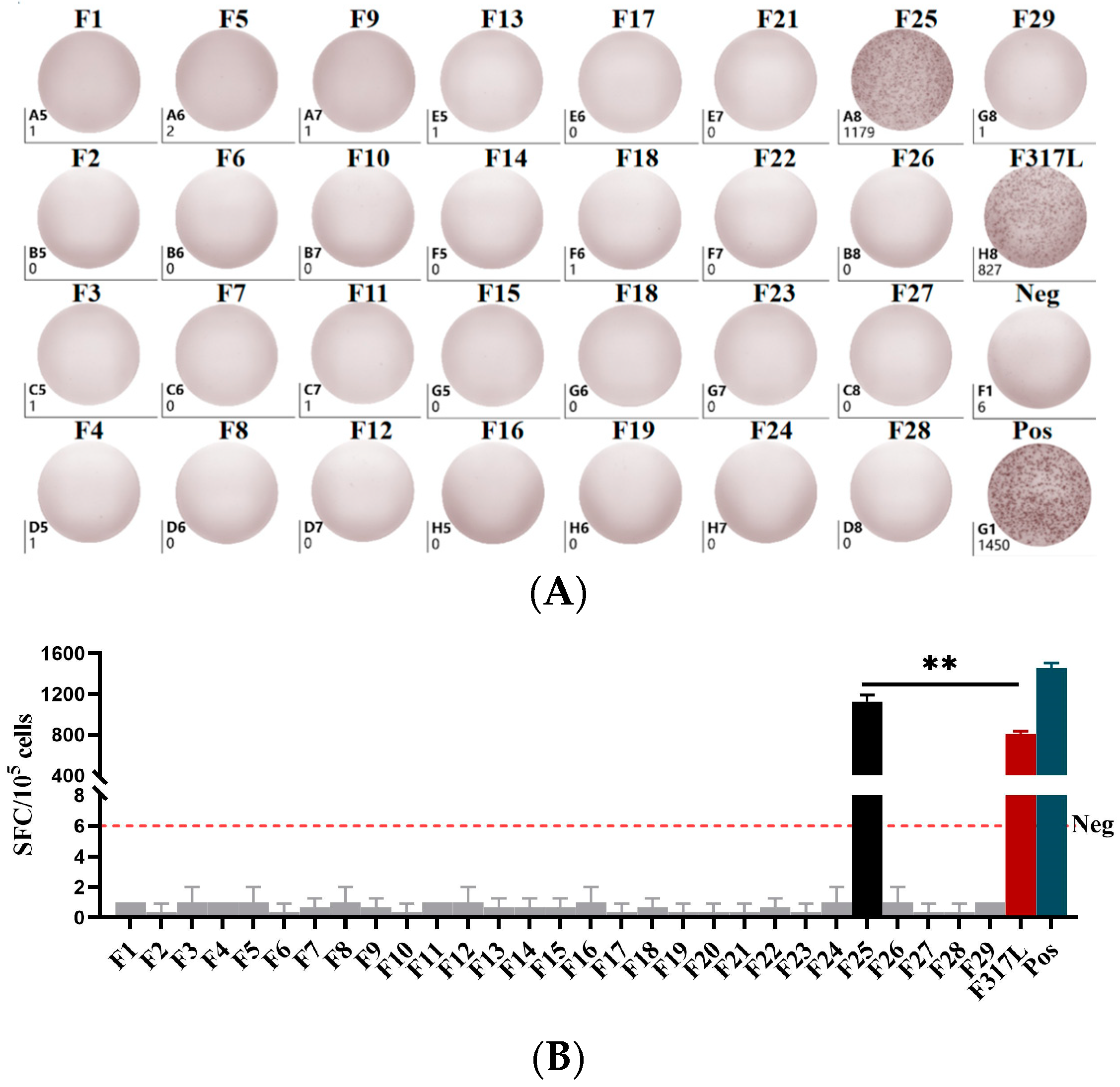 Animals 14 01331 g006