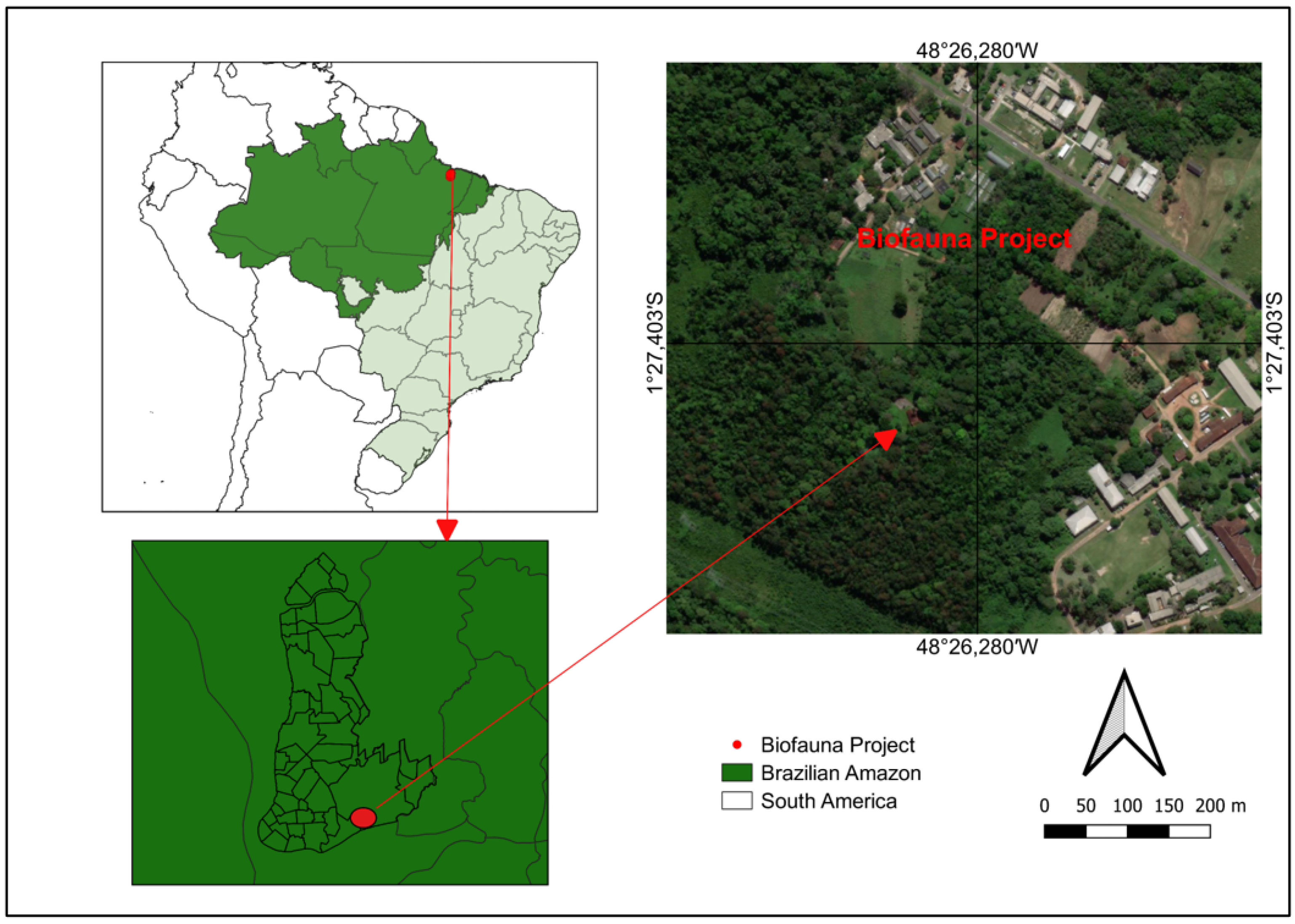 Animals 14 01334 g001