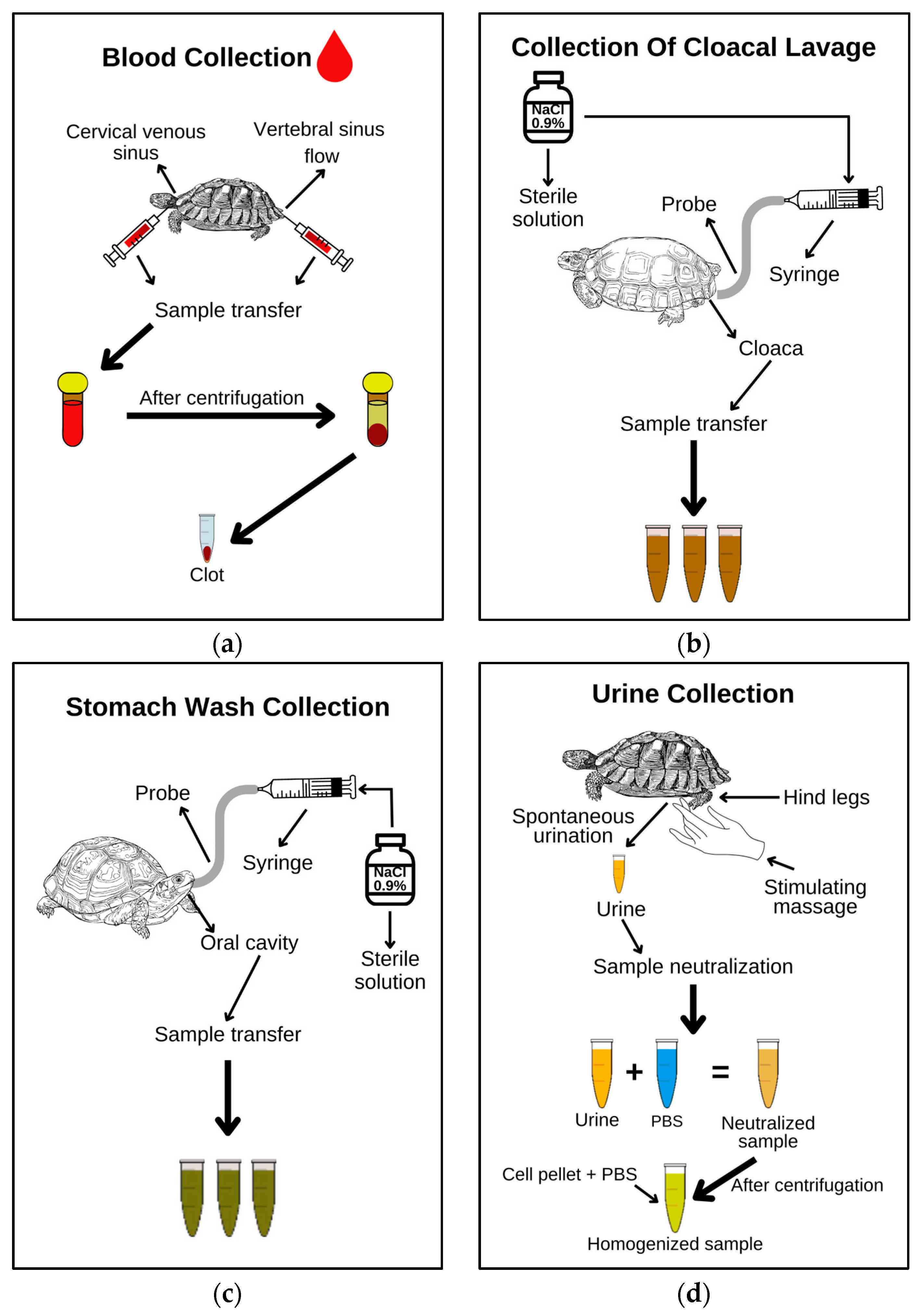 Animals 14 01334 g002