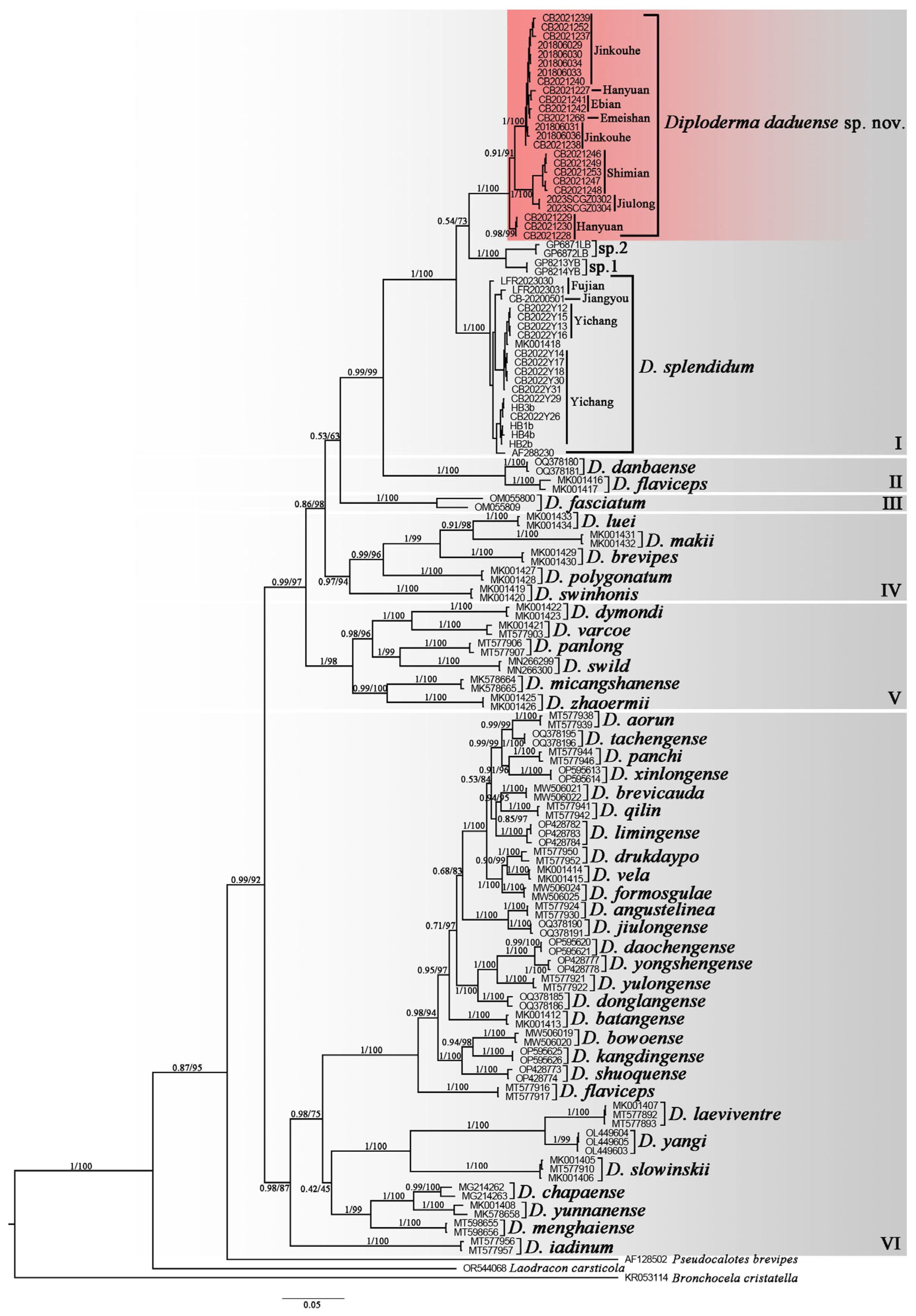 Animals 14 01344 g002