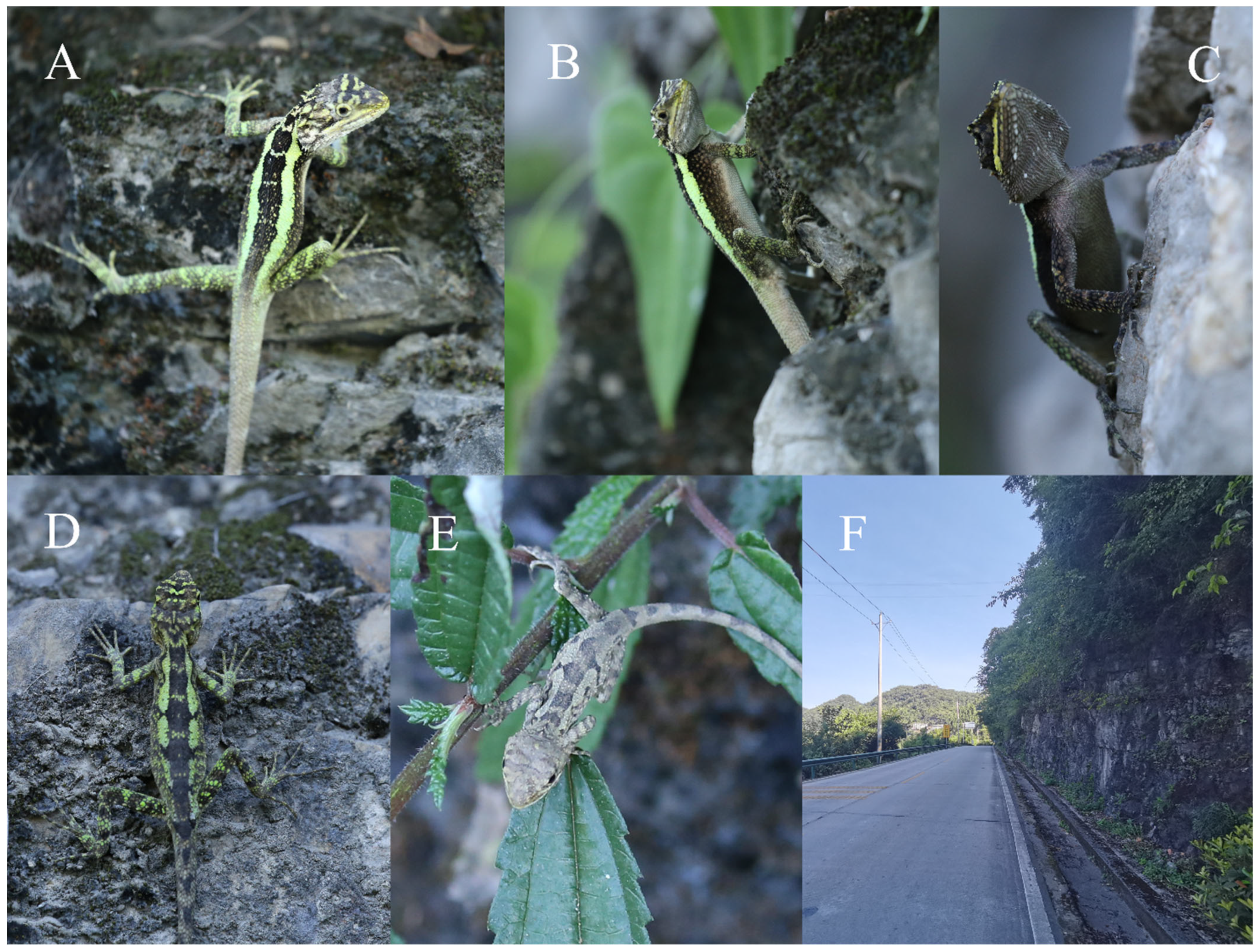 Animals 14 01344 g004