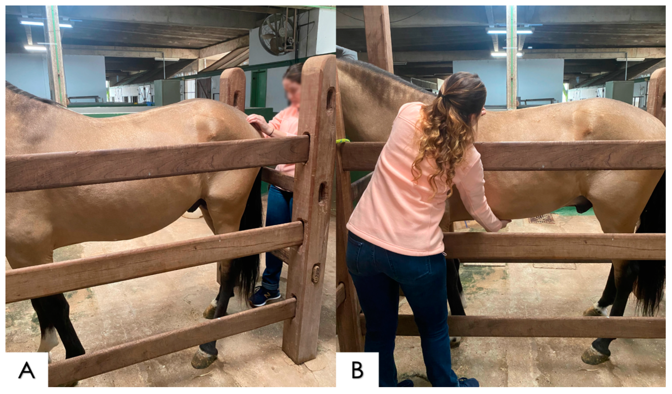 Animals 14 01364 g003