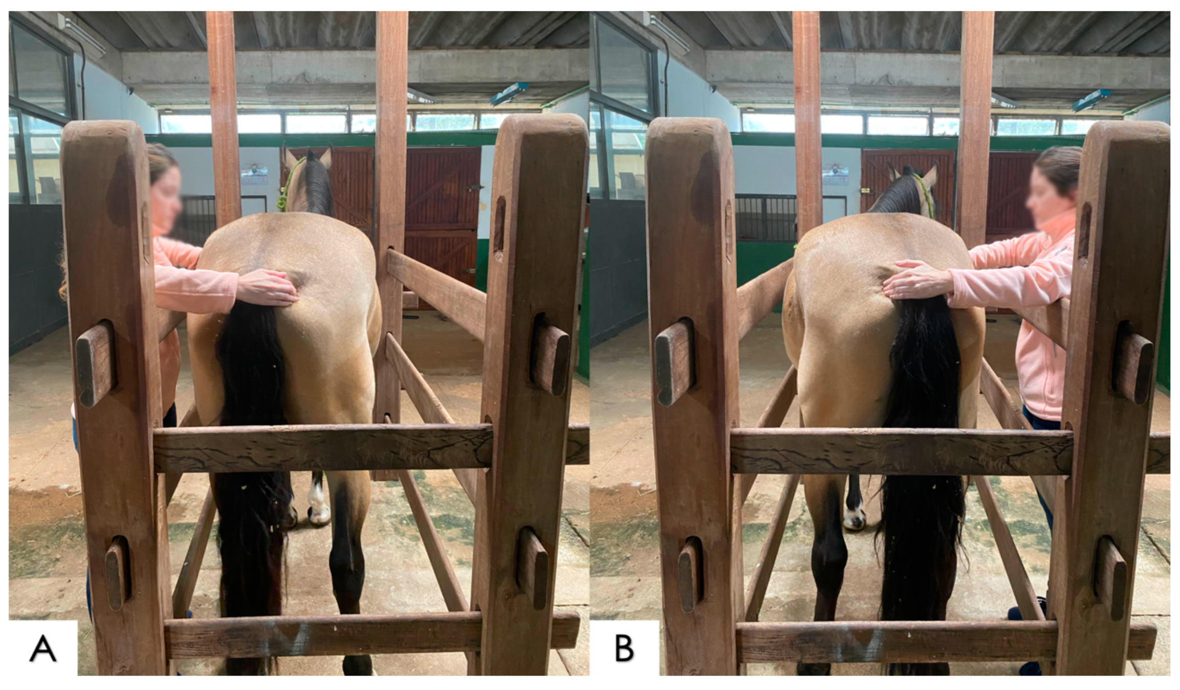 Animals 14 01364 g004