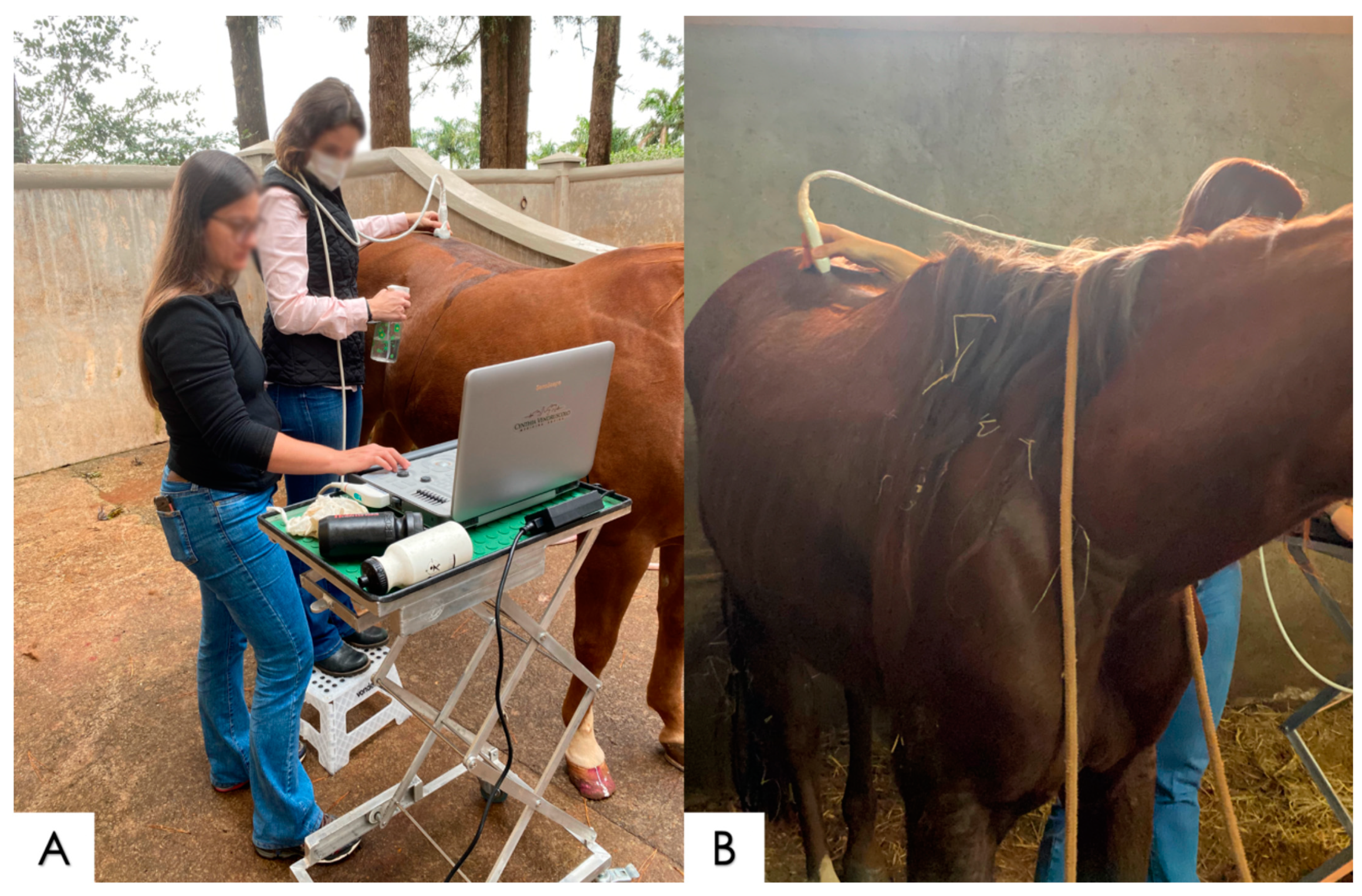 Animals 14 01364 g005