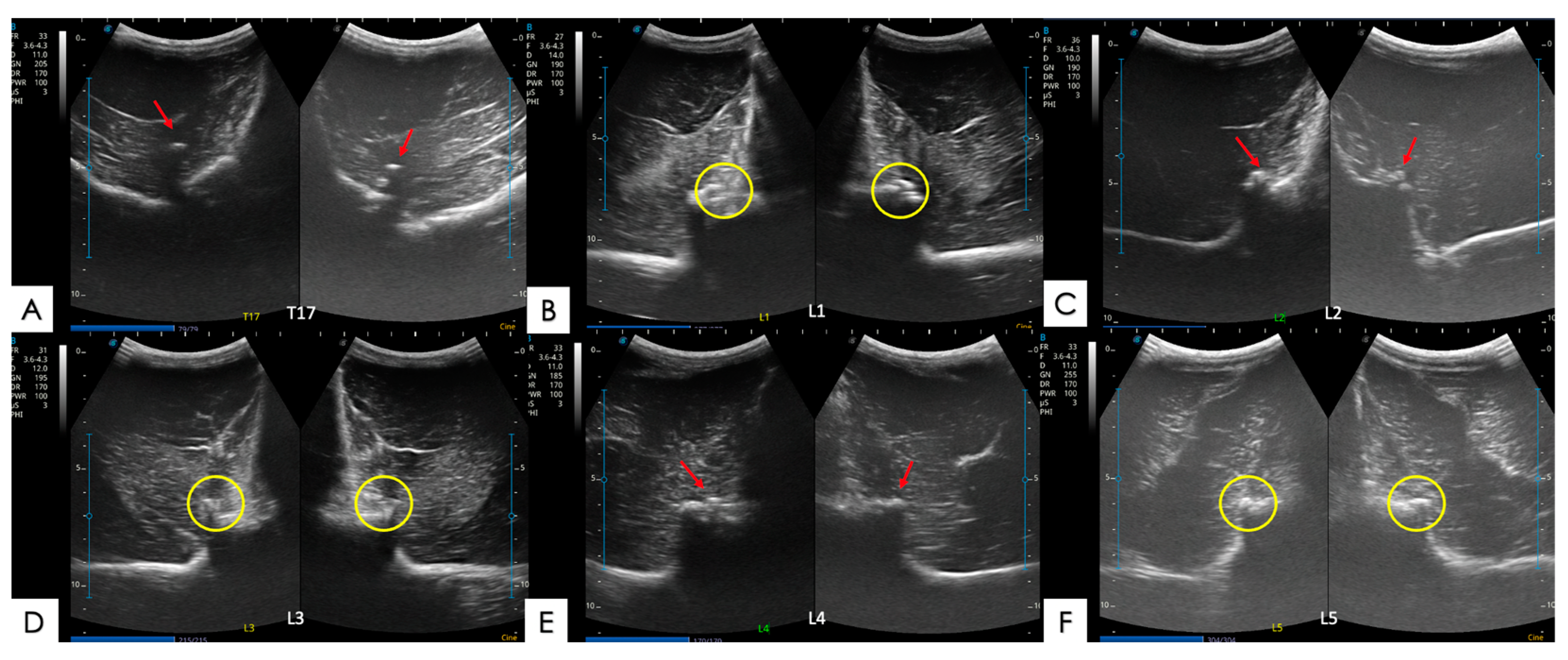 Animals 14 01364 g007
