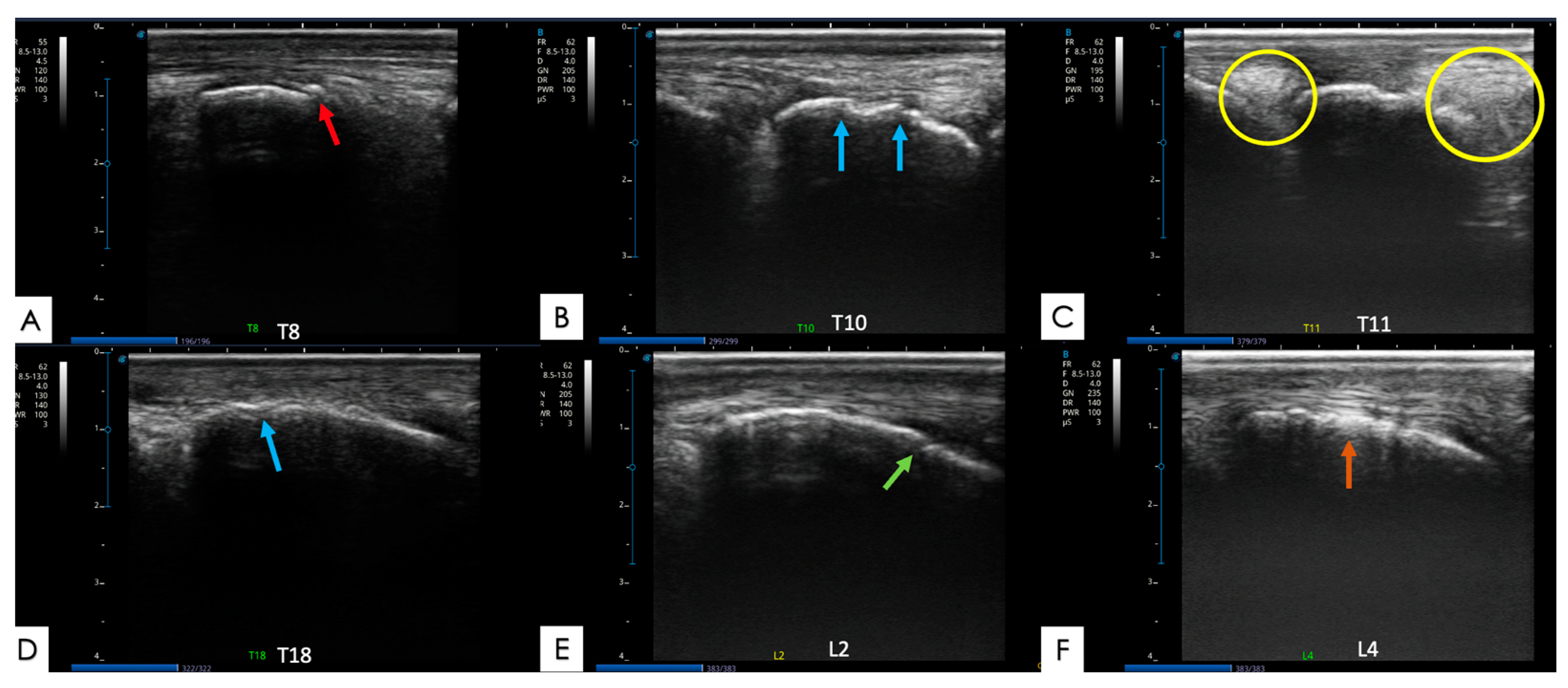Animals 14 01364 g009