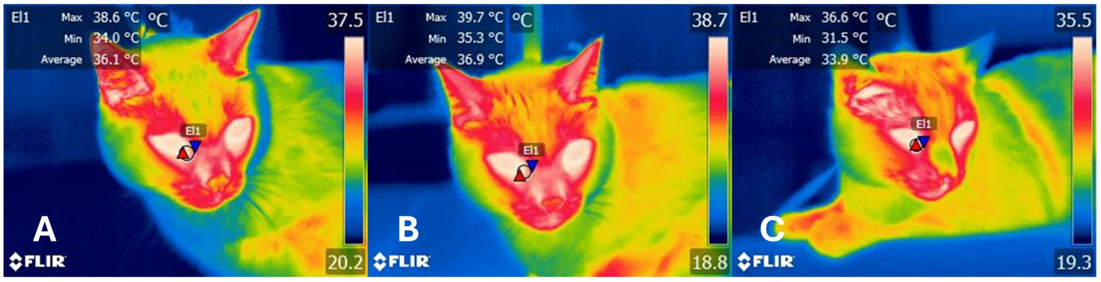 Animals 14 01366 g004