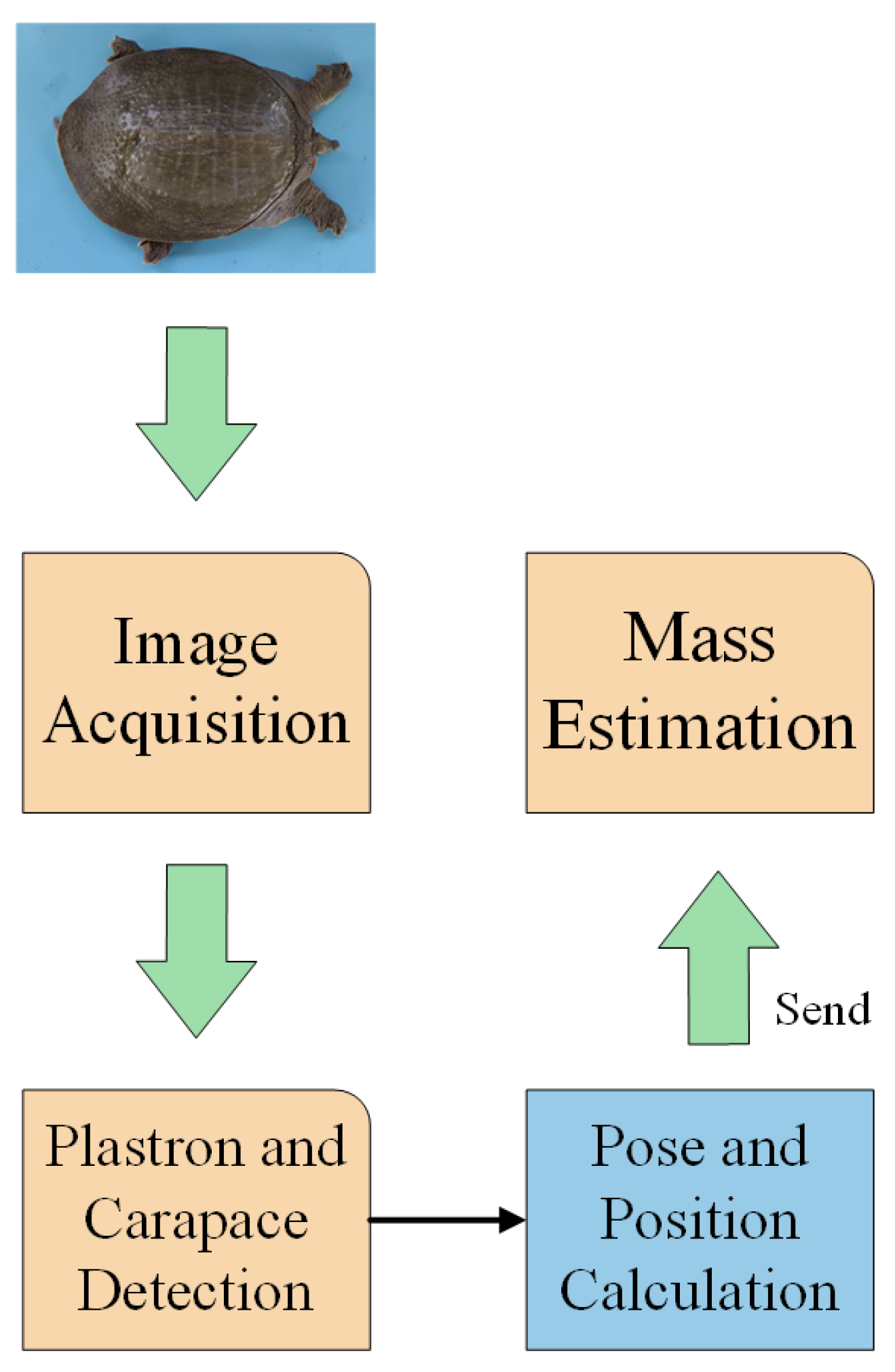 Animals 14 01368 g003