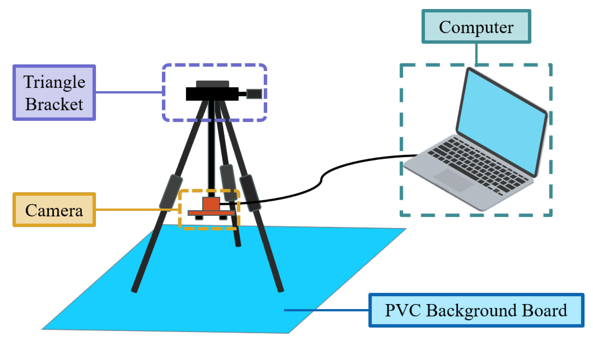 Animals 14 01368 g004