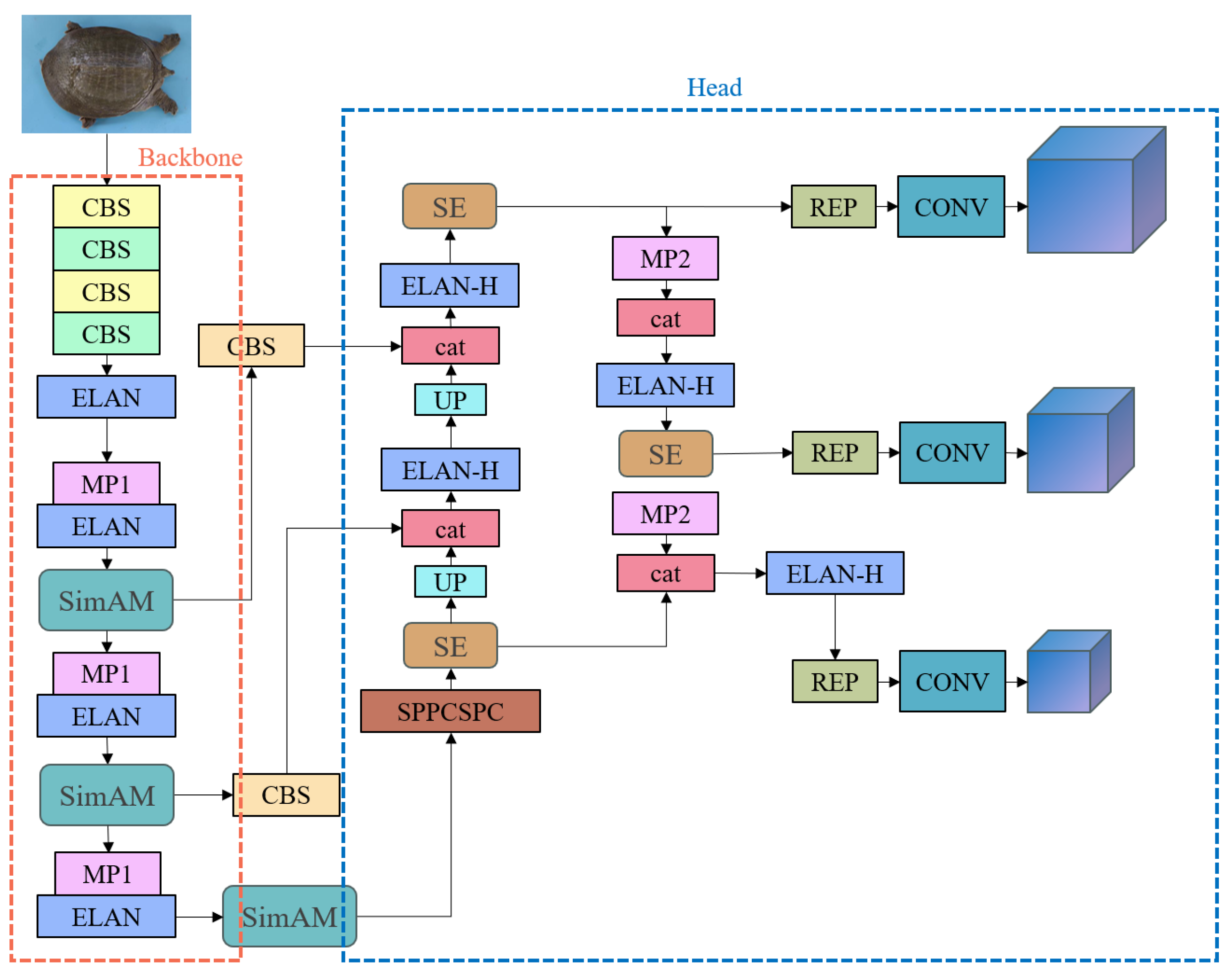 Animals 14 01368 g009