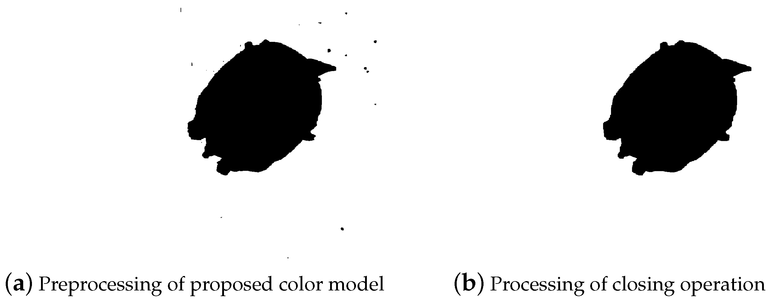 Animals 14 01368 g010