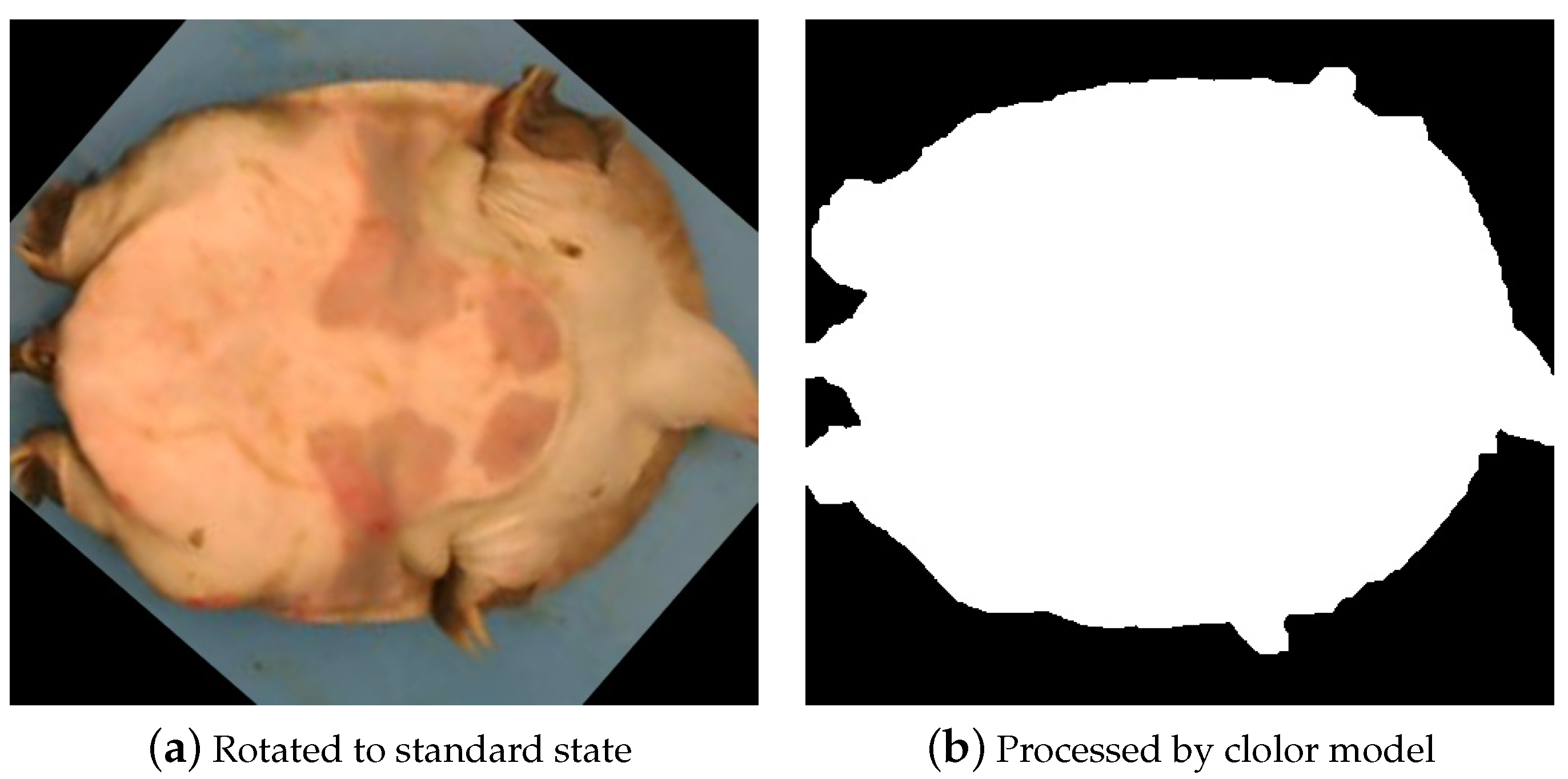 Animals 14 01368 g012