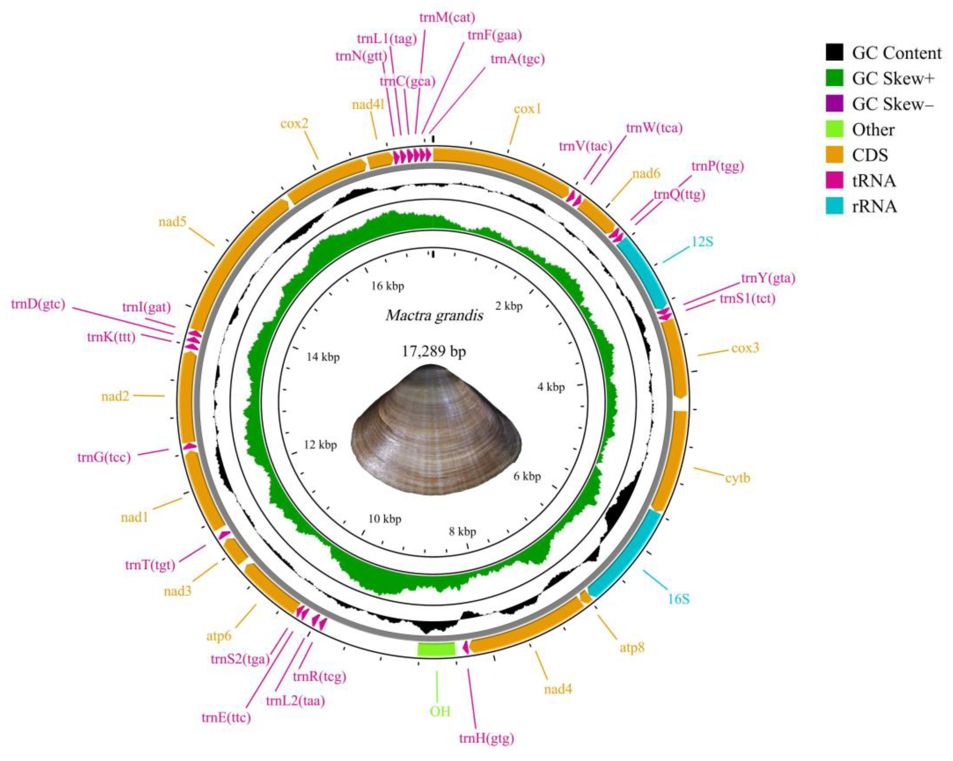 Animals 14 01376 g001