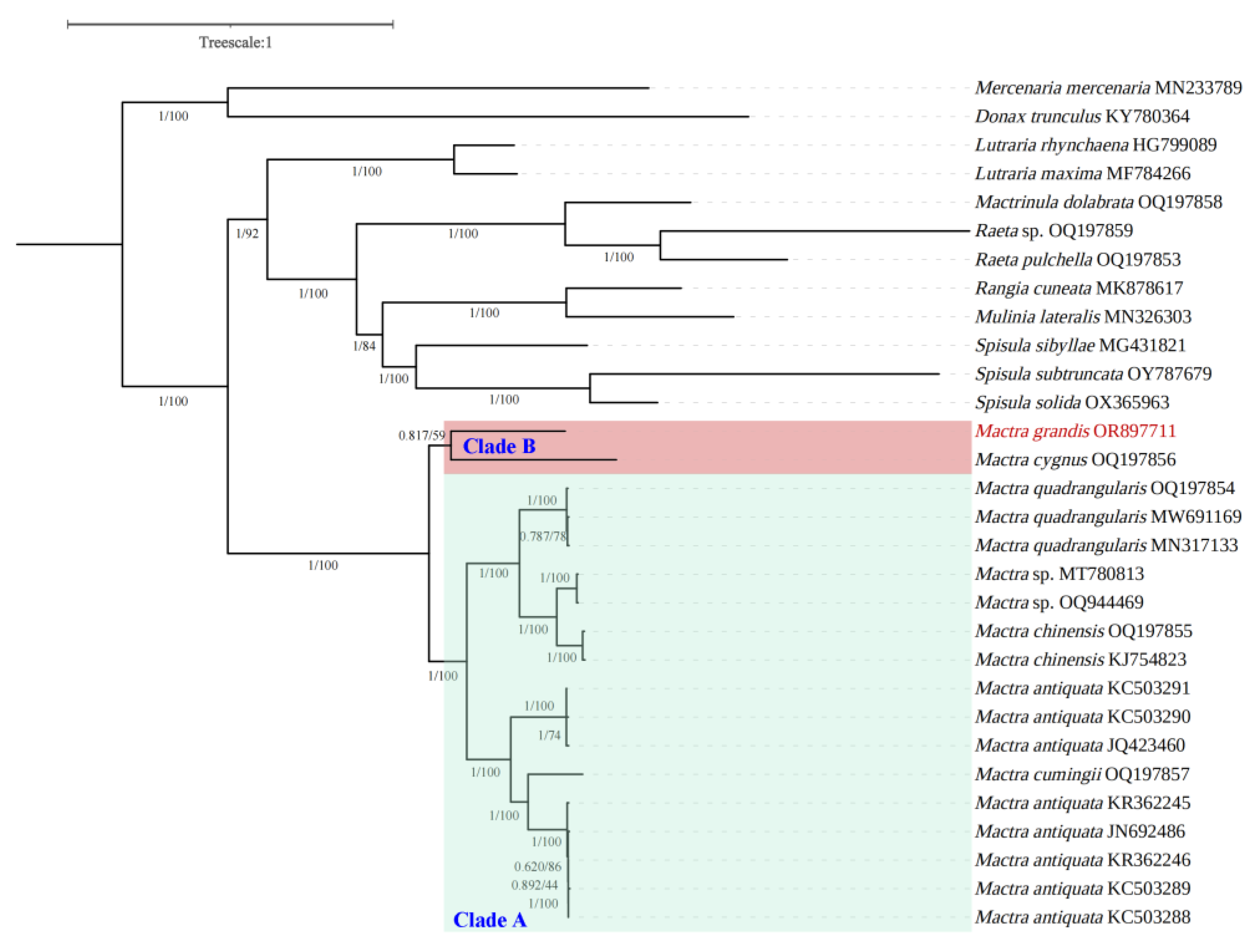 Animals 14 01376 g003