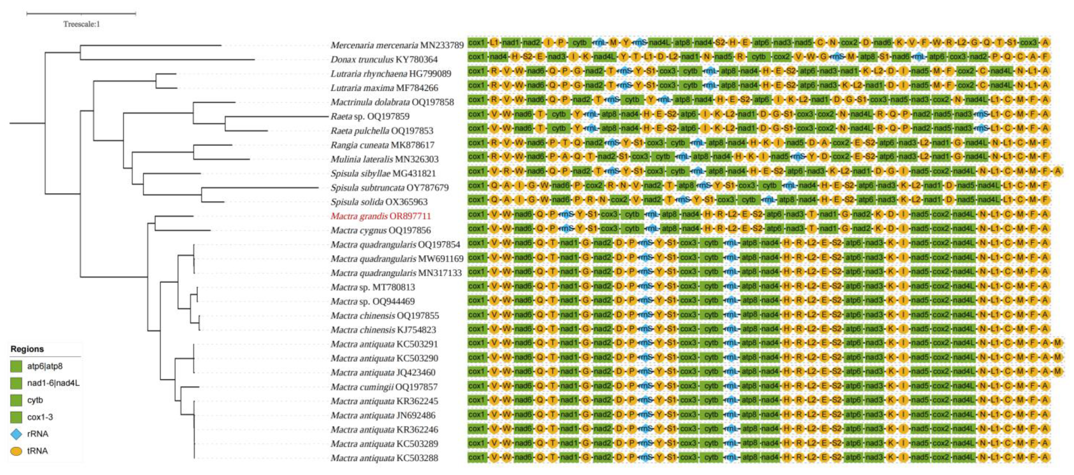 Animals 14 01376 g004