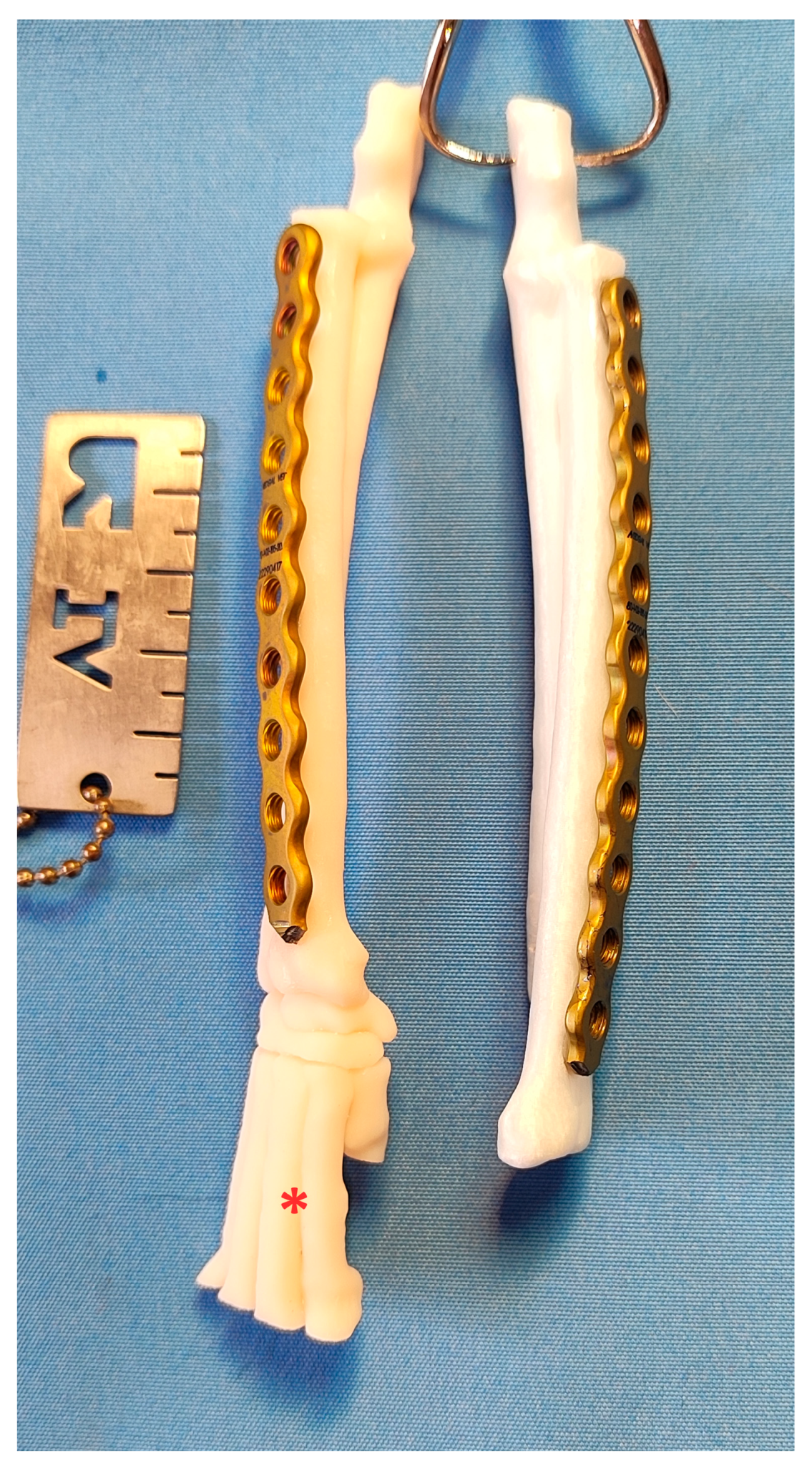 Animals 14 01381 g004