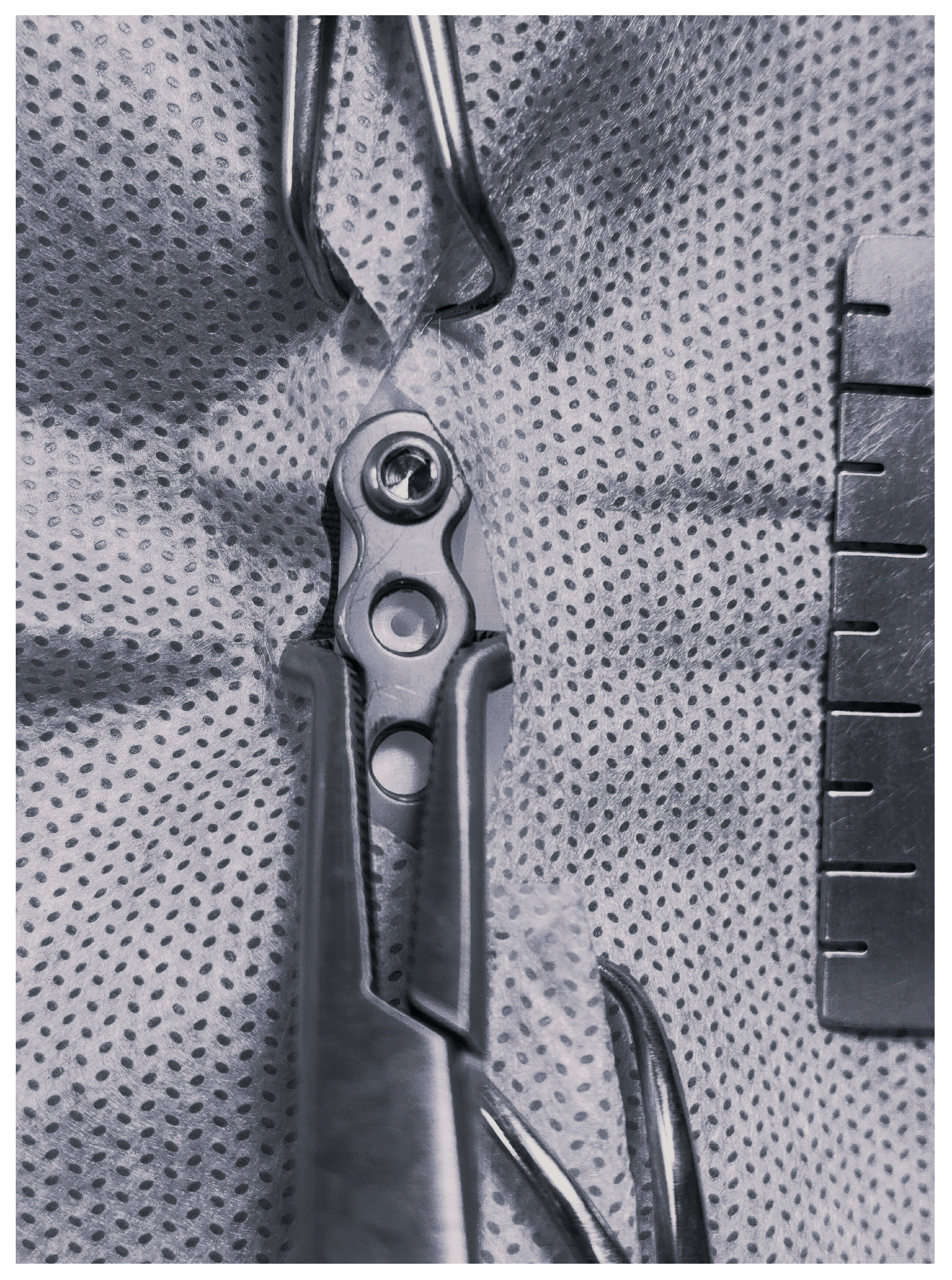 Animals 14 01381 g006