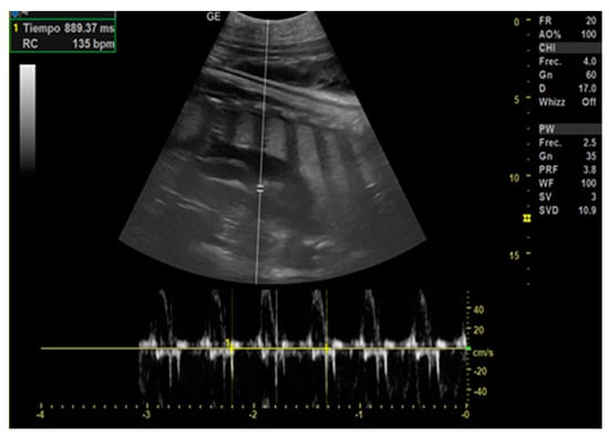Animals 14 01384 g003
