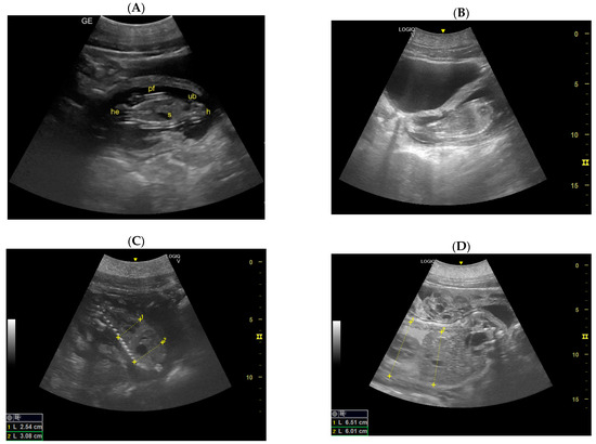 Animals 14 01384 g004