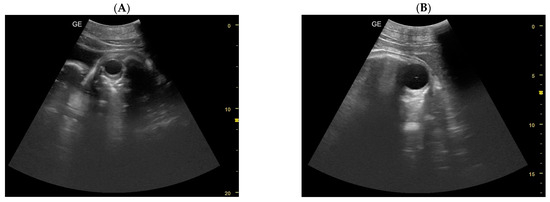 Animals 14 01384 g006