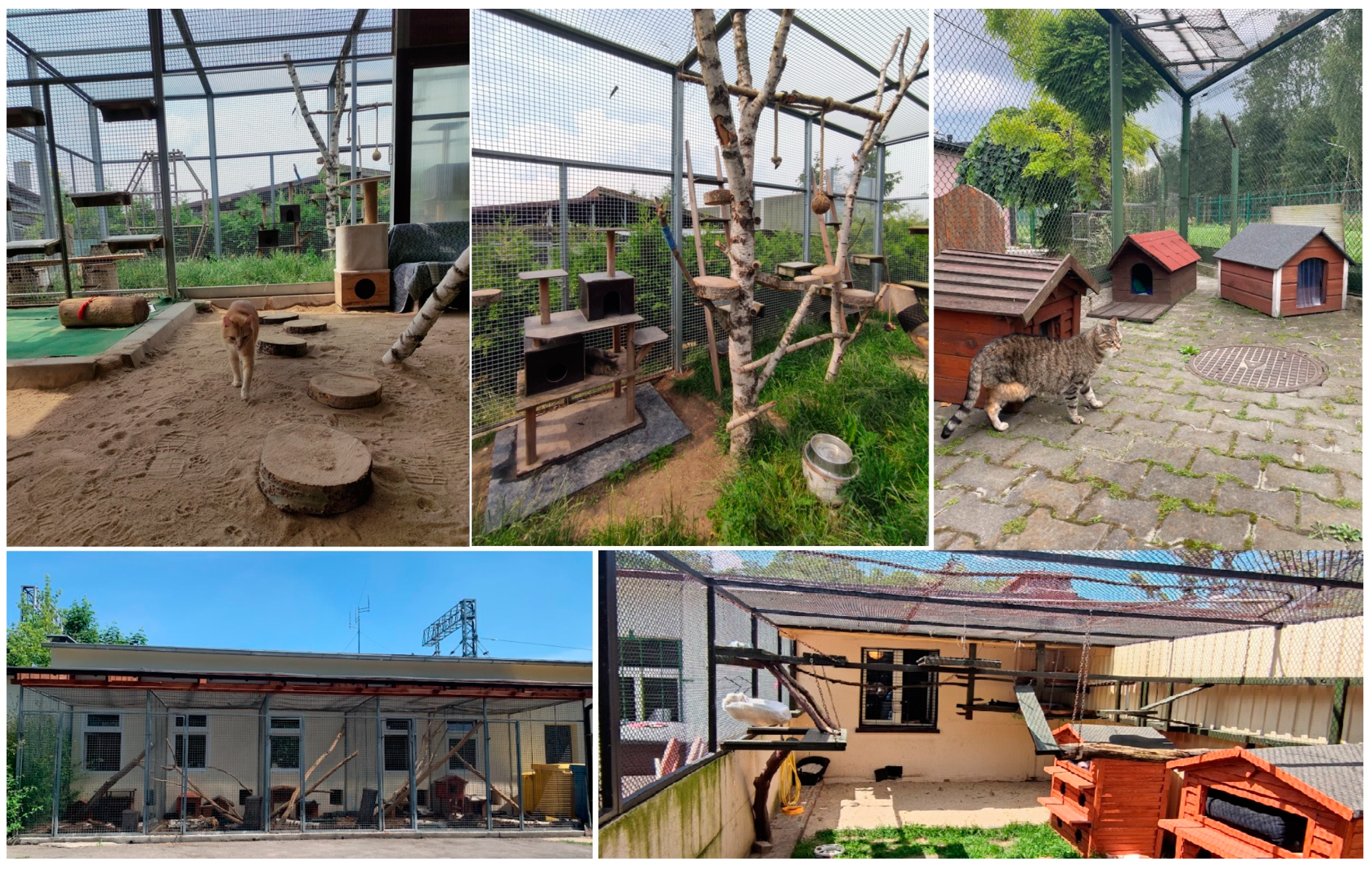 Animals 14 01392 g001